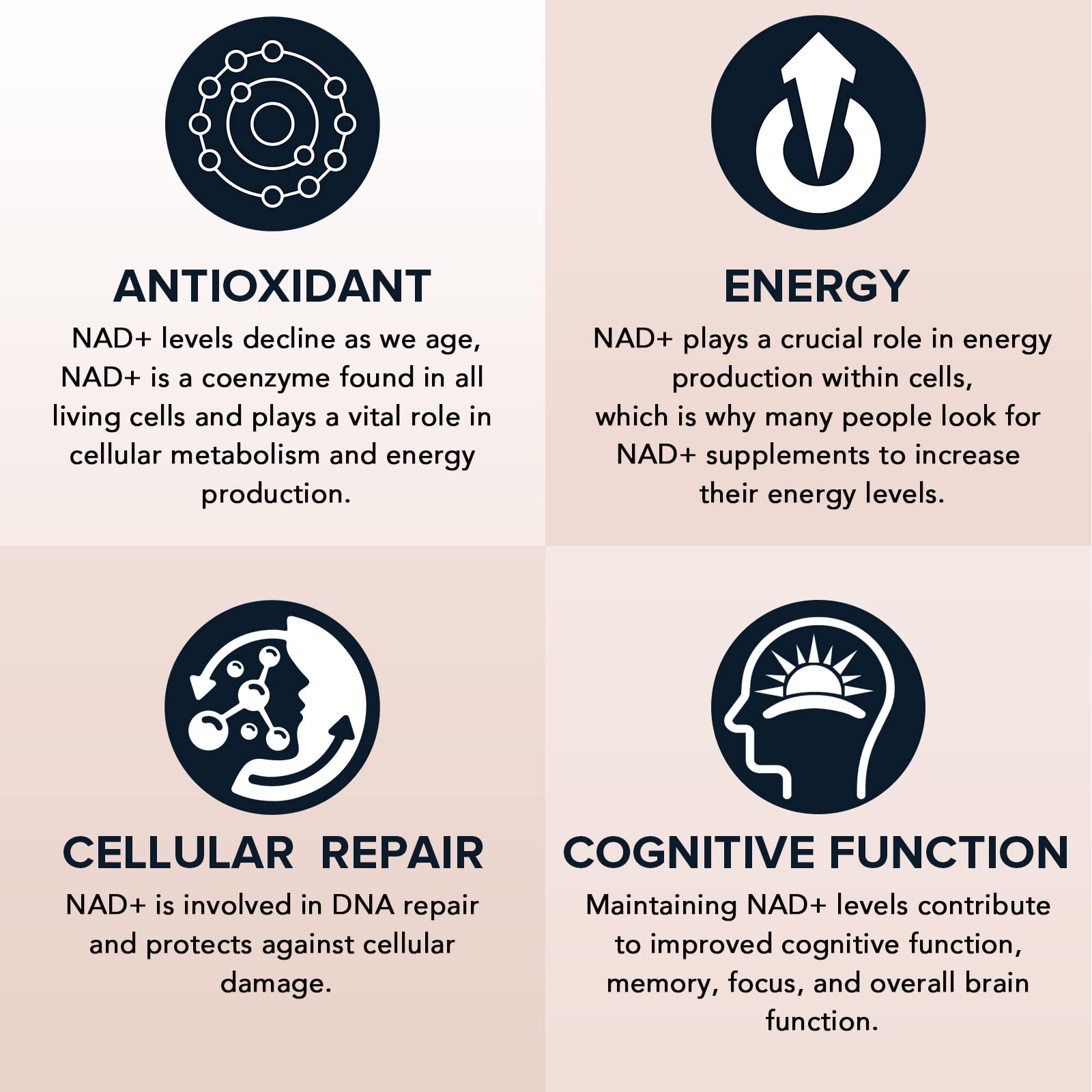 Fabamax 1600 mg Liposomal NAD Supplement, 98% Pure NAD+ Supplement, Superior Absorption, Alternative to Nicotinamide Riboside or NADH to Boost NAD+ for Aging Defense, Energy, Longevity, 120 Softgels Fabamax uk supplements