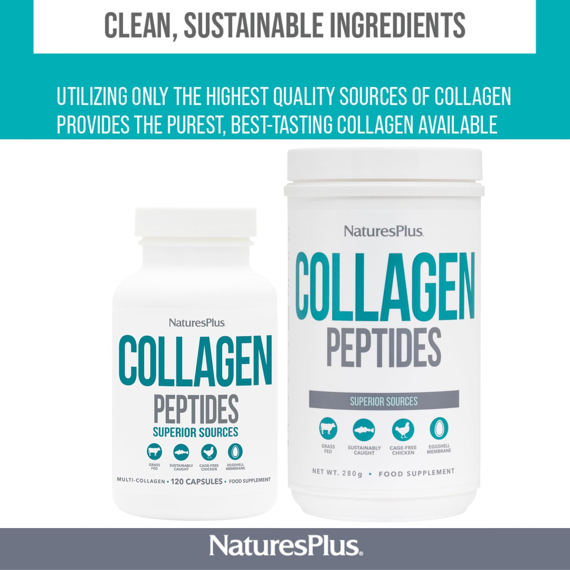 NaturesPlus Collagen Peptides Powder - Premium Hydrolysed Collagen Supplement, 6 Major Types Nature's Plus uk supplements