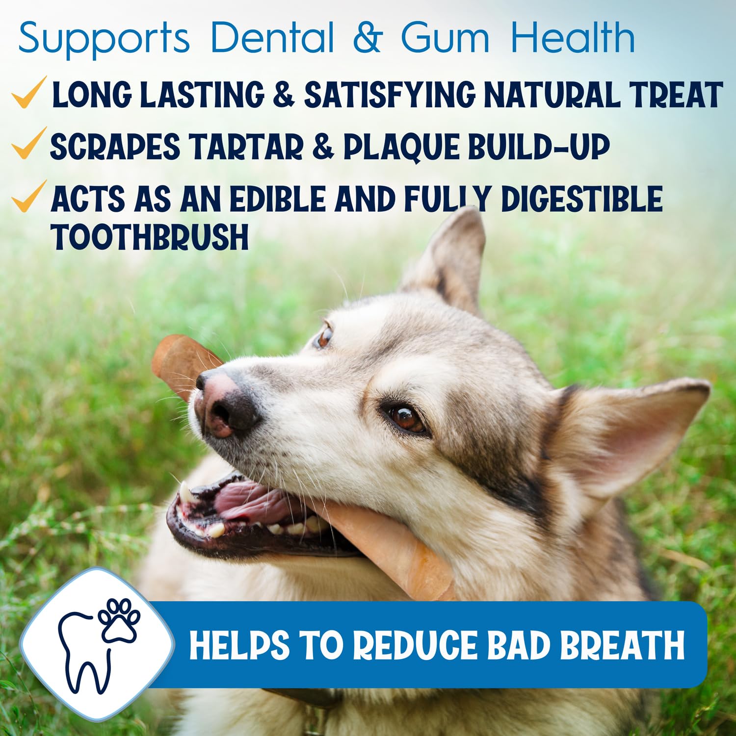 FETCHERONI 6" Collagen Sticks for Dogs – Low Odor Long-Lasting Bully Stick & Rawhide Alternative, Single Ingredient Beef Bone, High Protein Dental Treat, Vet Approved, Improves Joint Health – 5 Pack FETCHERONI uk supplements