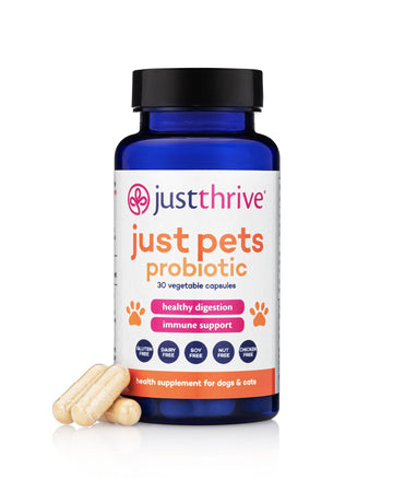 Just Thrive Just Pets Probiotic - Daily Digestive Probiotics for Dogs and Cats - 4 Billion CFUs Pet Probiotic, 30 Capsules Just Thrive uk supplements