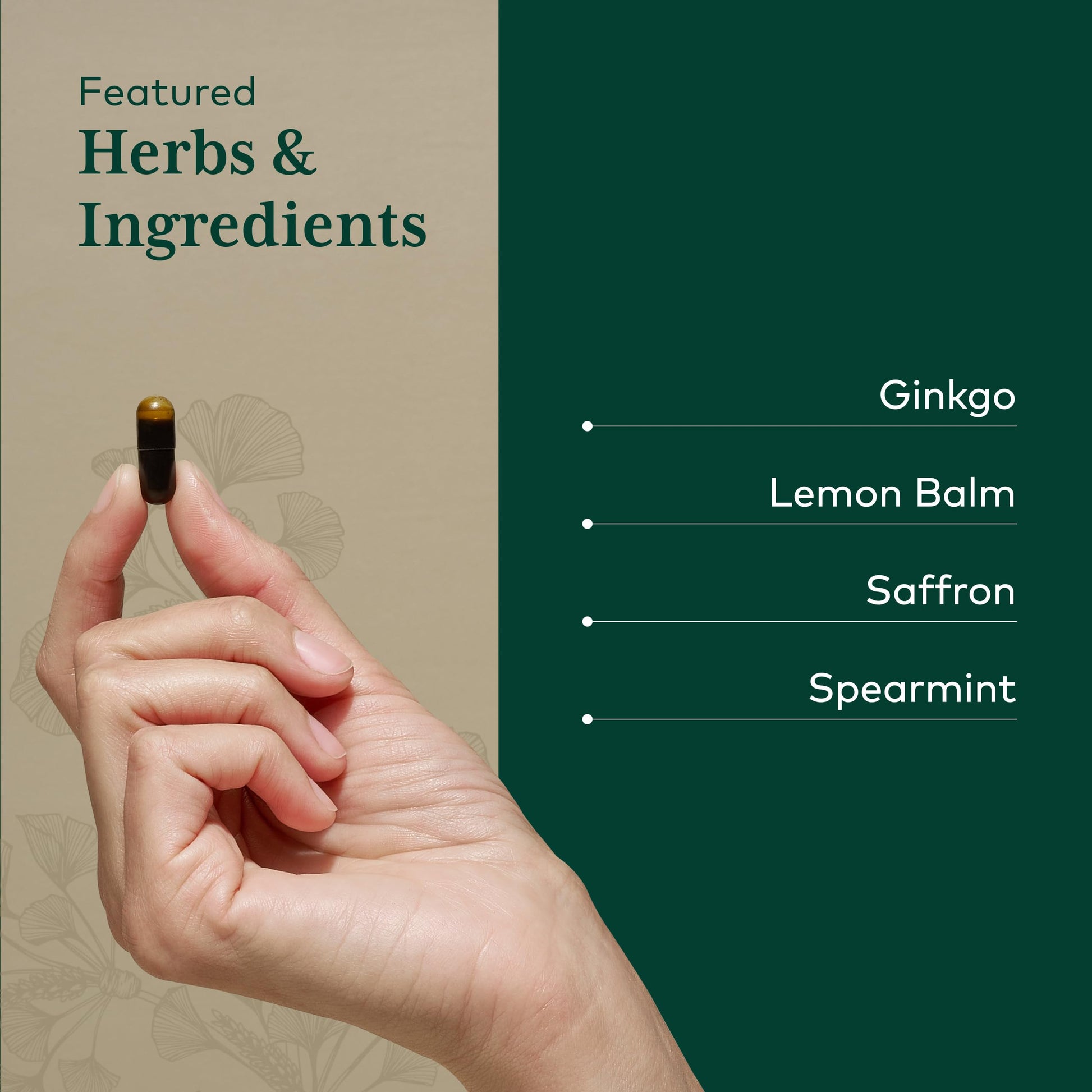 GAIA HERBS PRO Nootropic Focus - Brain Health Support Supplement* - Nootropic Supplement with Saffron, Ginkgo Leaf Extract & Lemon Balm - Vegan, Gluten-Free - 40 Liquid Phyto-Caps (20 Servings) Gaia Herbs PRO uk supplements