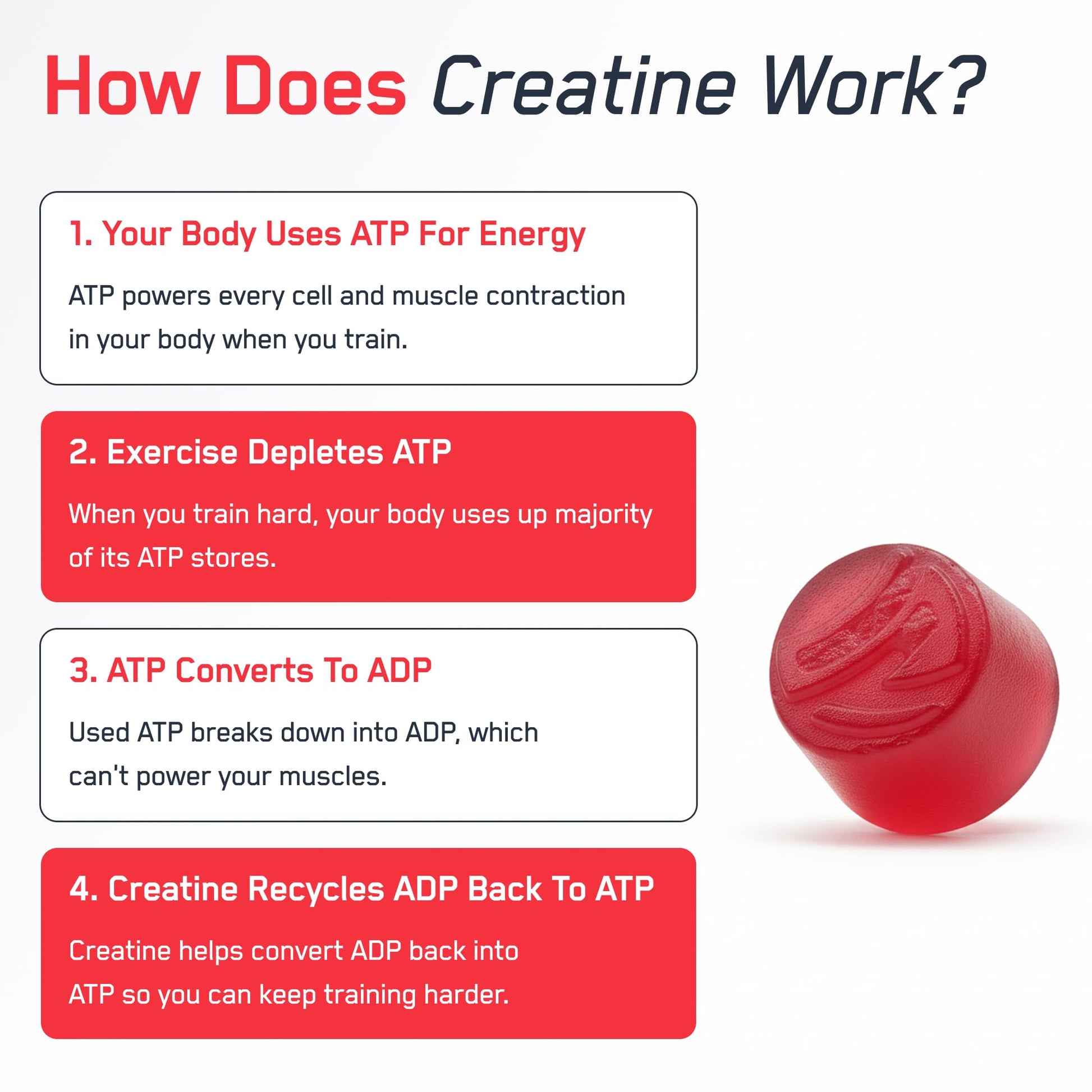 SteelFit Creapure Creatine Monohydrate Gummies for Men & Women, Juicy Watermelon - Gym Workout Nutritional Supplements for Muscle Gain, Brain Health & Strength Building Dietary Supplement, 120 Gummies SteelFit uk supplements