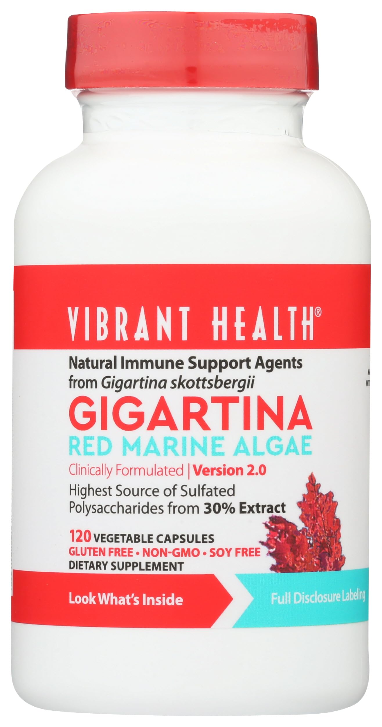 Vibrant Health, Gigartina Red Marine Algae, Plant-Based Immune Support, 60 Capsules Vibrant Health uk supplements