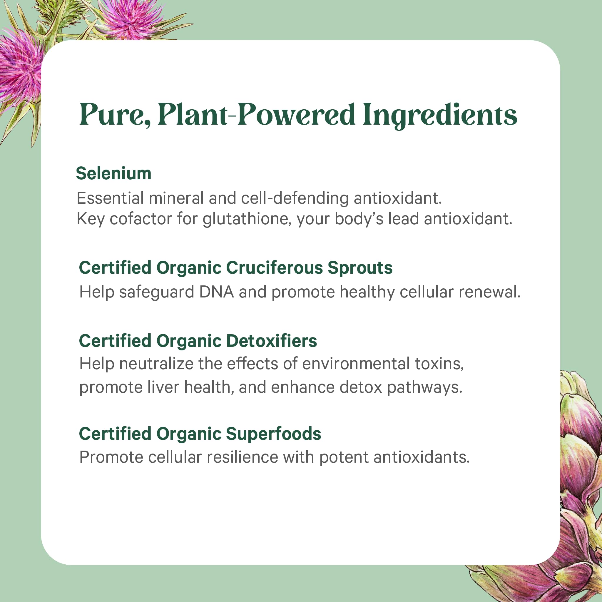 PURE SYNERGY Cell Protector | Cellular Health Supplement | Cell and Immune Support with Selenium and Organic Cruciferous Vegetables | for Healthy Aging & Detoxification (120 Capsules) PURE SYNERGY uk supplements