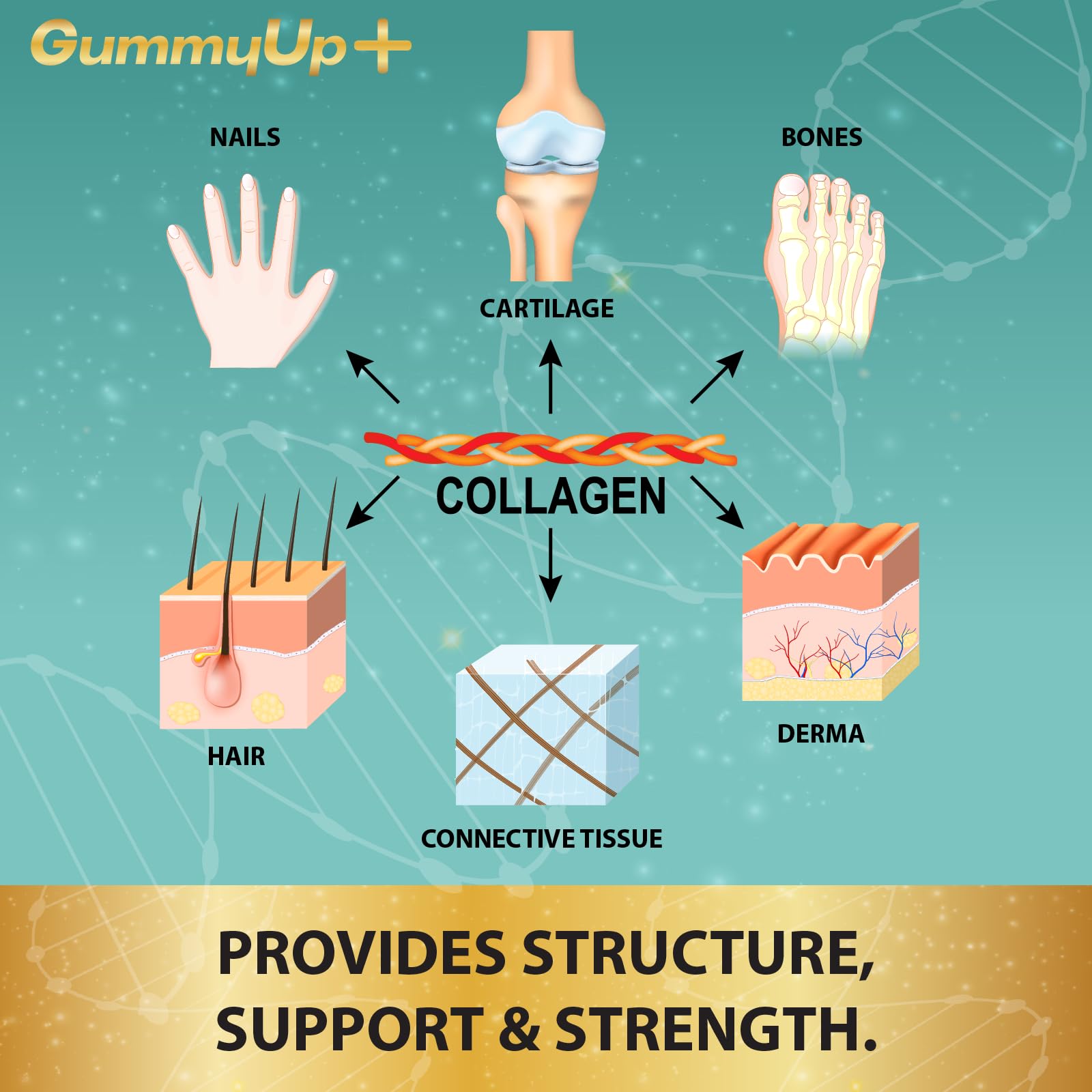 Hydrolysed Collagen Gummies with Biotin, 60 Sugar Free Natural Pineapple Flavoured Gummies ZA ZACANNA uk supplements