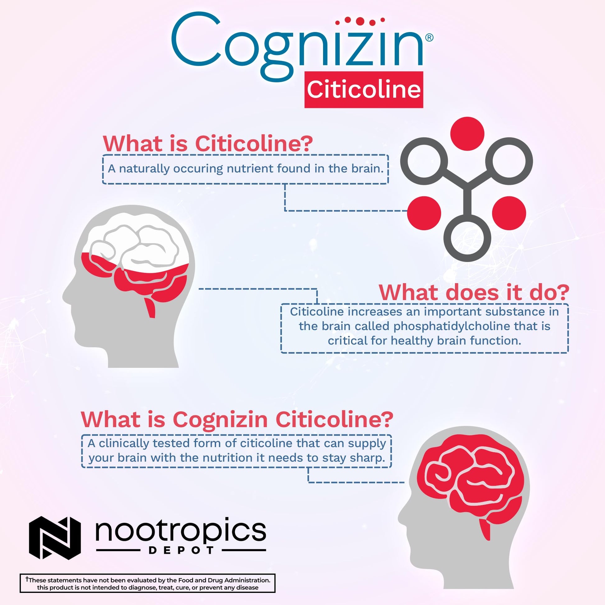 Nootropics Depot Cognizin Citicoline Capsules | 60 Count | Choline Supplement | Brain Health Supplement | Regulates Memory and Cognitive Function | Supports Attention, Focus and Recall Nootropics Depot uk supplements