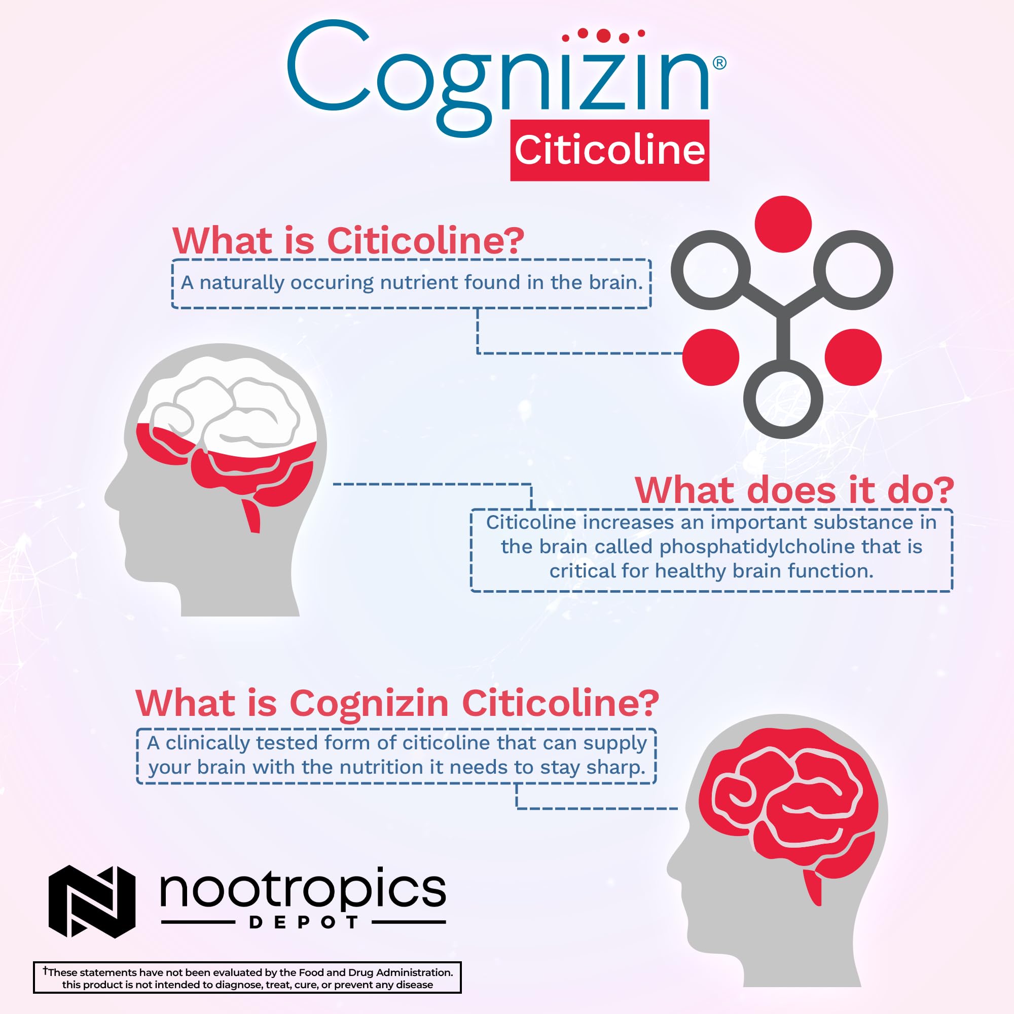 Nootropics Depot Cognizin Citicoline Capsules | 60 Count | Choline Supplement | Brain Health Supplement | Regulates Memory and Cognitive Function | Supports Attention, Focus and Recall Nootropics Depot uk supplements