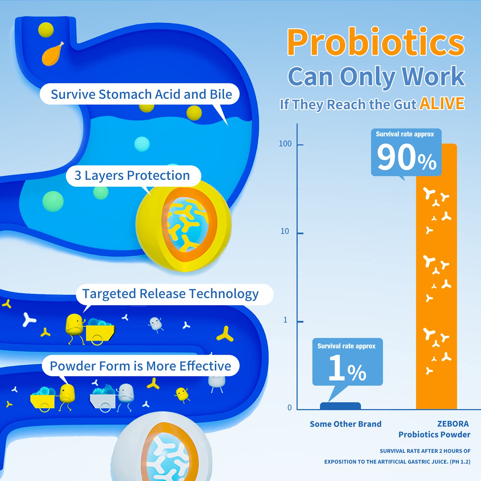 ZEBORA Probiotics for Women, Men and Kids, Prebiotics and Probiotics Powder ZEBORA uk supplements
