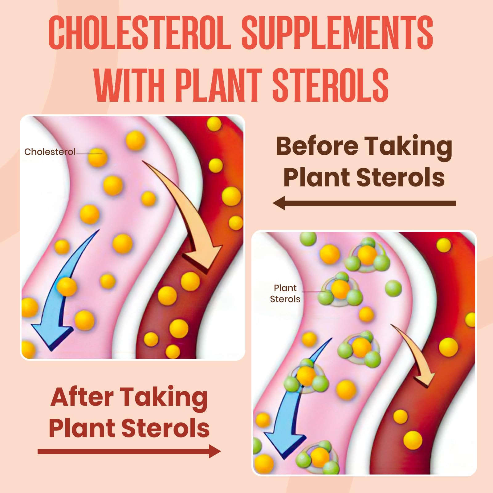 Glorithiventa Cholesterol & Booty Gummies Supplement Bundle - Plant Sterols & Stanols + CurvaBoost BBL Herb Blend & Creatine Monohydrate - Cholesterol Normal Level, Booty, Curves & Energy Glorithiventa uk supplements