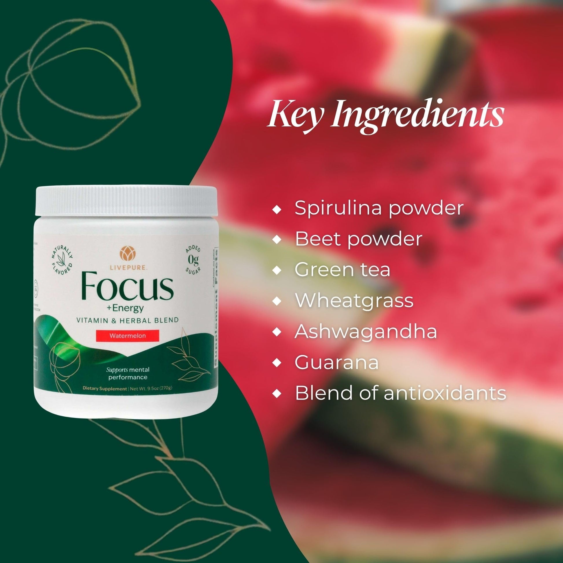 PURE Focus + Energy Tub Drink Mix | Natural Caffeine & Antioxidants from Botanicals | Supports Alertness, Clarity & Energy | Zero Sugar, No Artificial Sweeteners | 9.5 oz | Watermelon Flavor PURE uk supplements