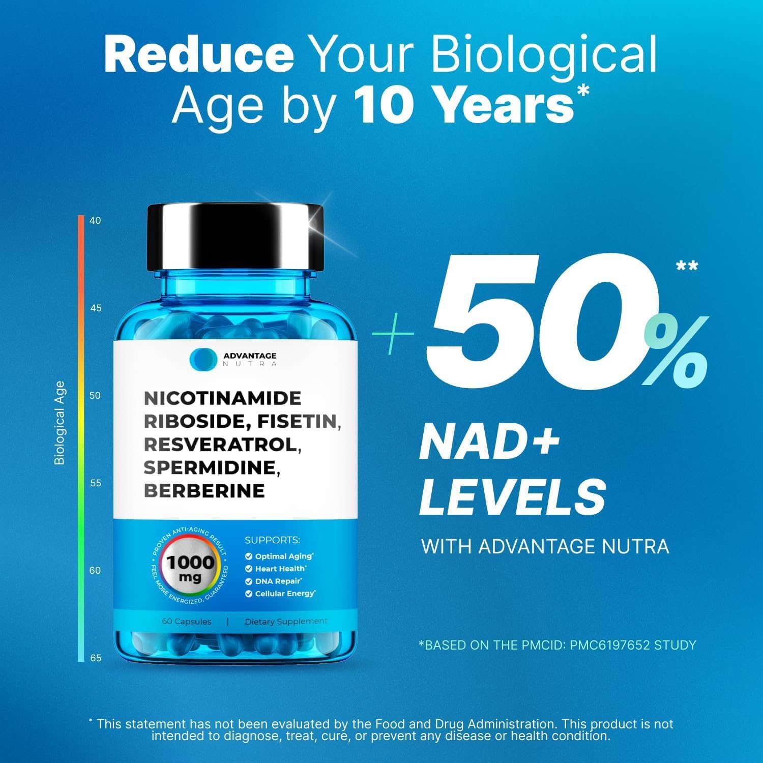 AdvantageNutra Liposomal Nicotinamide Riboside NR Supplement Resveratrol NAD : Nicotinamide 500mg w/Fisetin, Resveratrol Powder Spermidine Berberine NAD Resveratrol Supplement 500 mg - 60 caps 1 Pack AdvantageNutra uk supplements