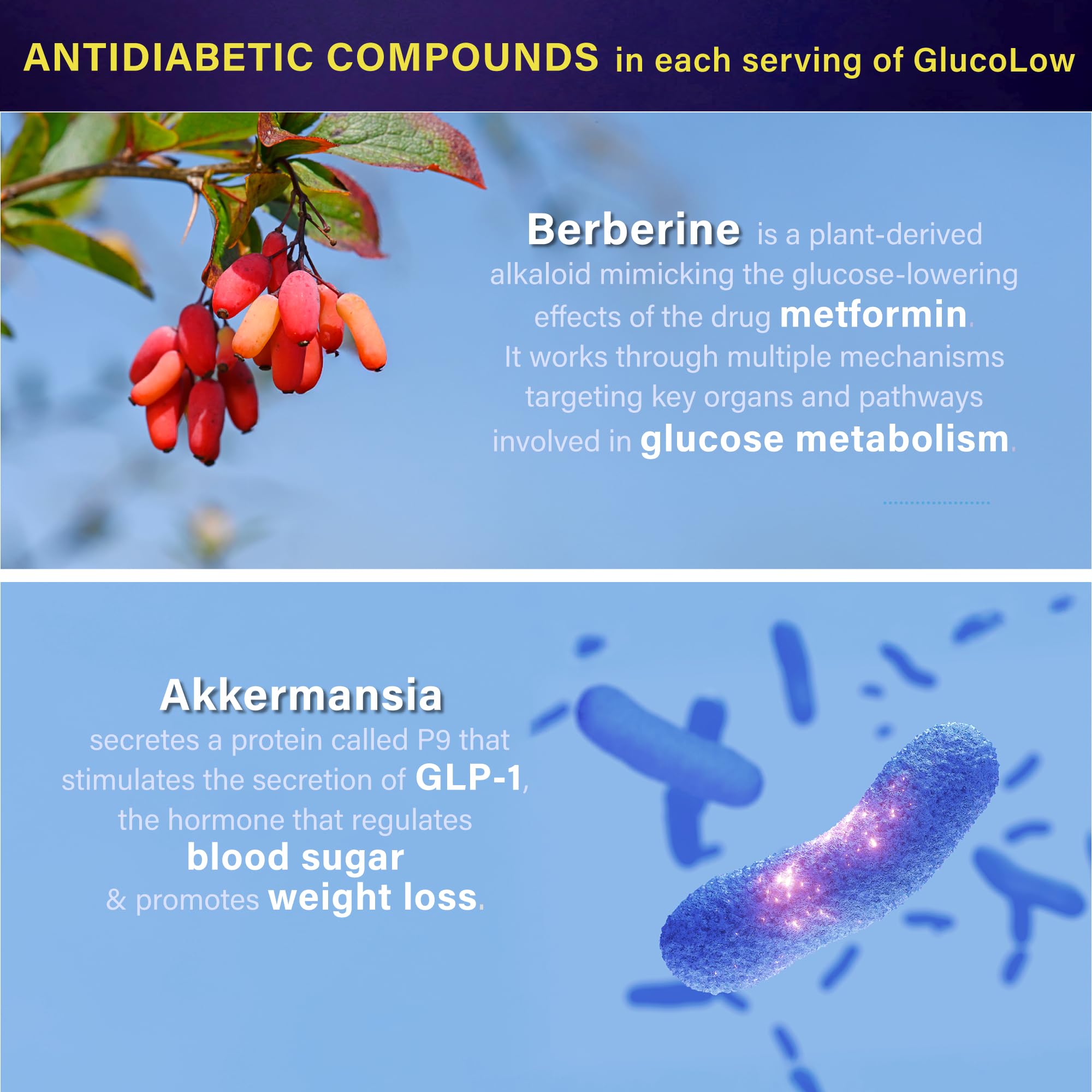Blood Sugar Support Colostrum Supplement w/ Bitter Melon, Probiotics Blend w/ Akkermansia & Prebiotic Berberine | For Healthy Blood Glucose, Metabolism, Gut & Immunity | 90 Delayed Release Vegan Caps FOLONA uk supplements