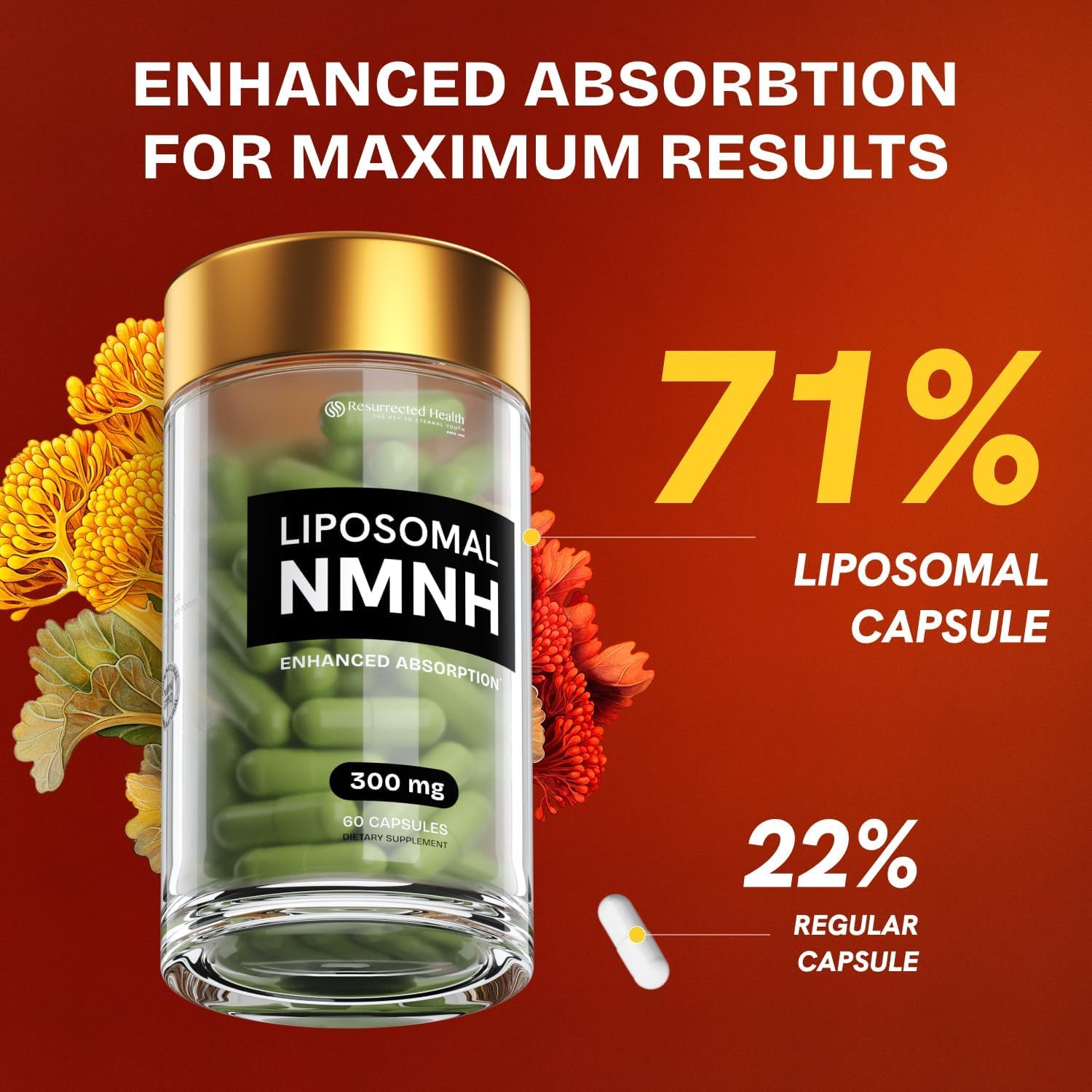 Resurrected Health Liposomal NMNH Supplement 300mg – Boosts NAD Anti-Aging, Energy & Focus – NMM Capsules Alternative to for Cellular Vitality – Third-Party Tested, 60 Vegan Capsules | 1 Pack Resurrected Health uk supplements