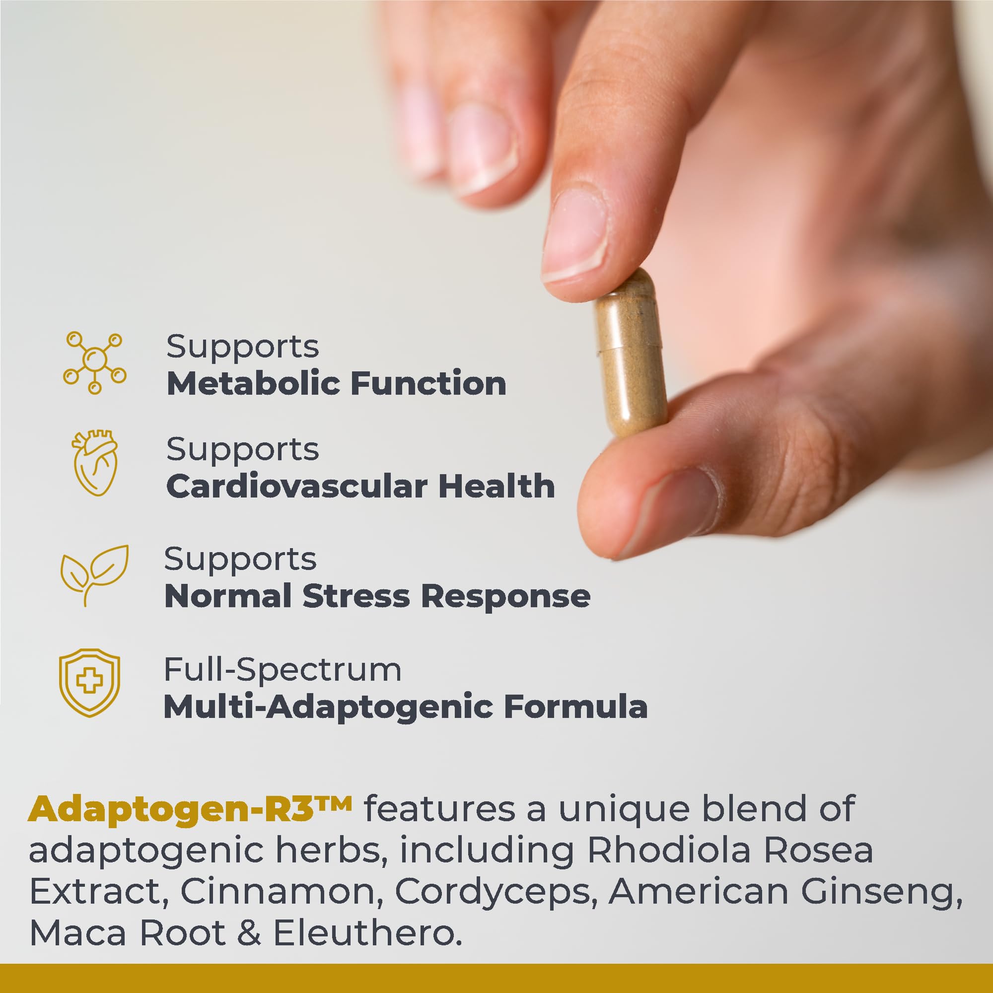 Premier Research Labs Adaptogen-R3 Supplement - Rhodiola Rosea Supplement with Maca Root, Adaptogen Complex for Stress, Heart & Metabolic Health - 90 Vegetarian Capsules Premier Research Labs uk supplements