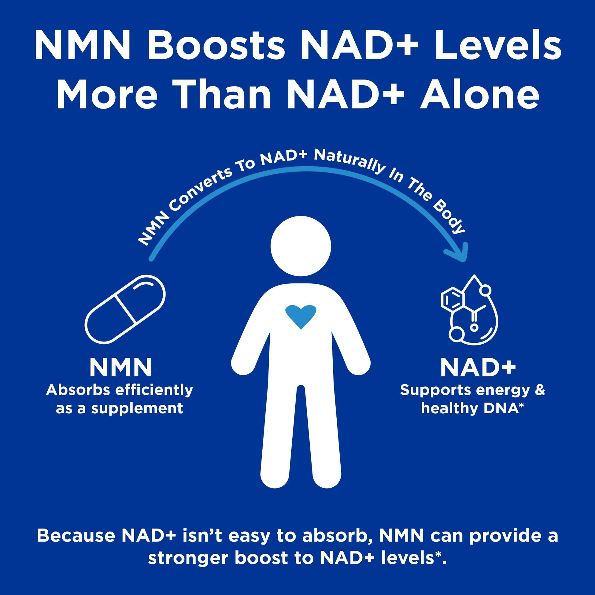 GNC Preventive Nutrition NMN, 150 mg, NAD+ Booster Supplement for Cellular Energy & DNA Repair, Anti-Aging Support, 60 Capsules, Gluten Free, 60 svg GNC uk supplements