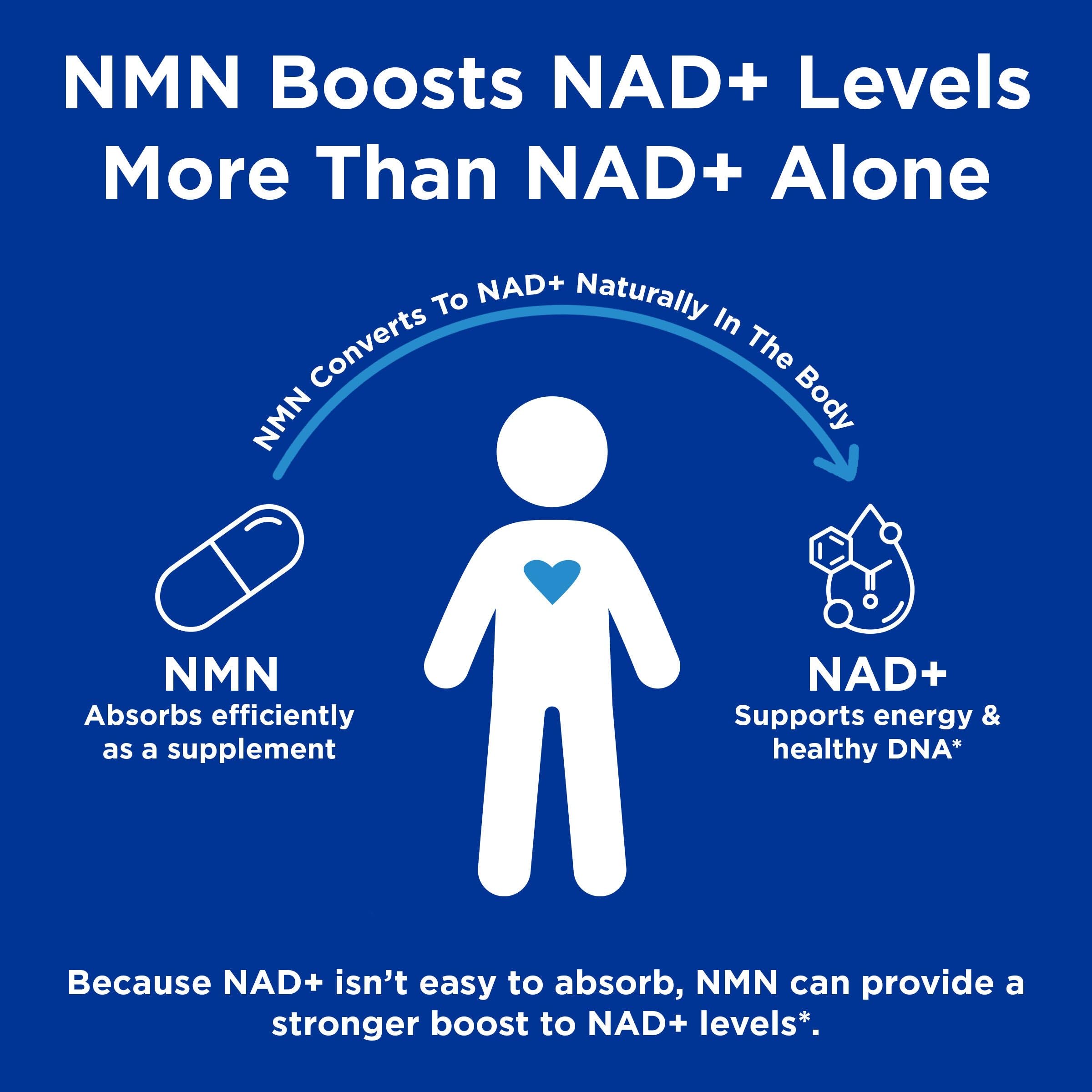 GNC Preventive Nutrition NMN, 150 mg, NAD+ Booster Supplement for Cellular Energy & DNA Repair, Anti-Aging Support, 60 Capsules, Gluten Free, 60 svg GNC uk supplements