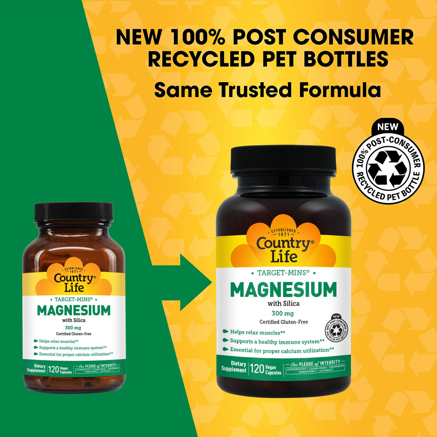 Target-Mins Magnesium with Silica 300 mg 120 Vegetarian Capsules Country Life uk supplements