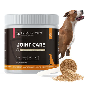 NutraRegen Select Senior Dog Joint Supplement 45 Scoops | Natural Glucosamine Chondroitin for Dogs with Collagen | Hip and Joint Powder | 7.7 Oz NutraRegen uk supplements