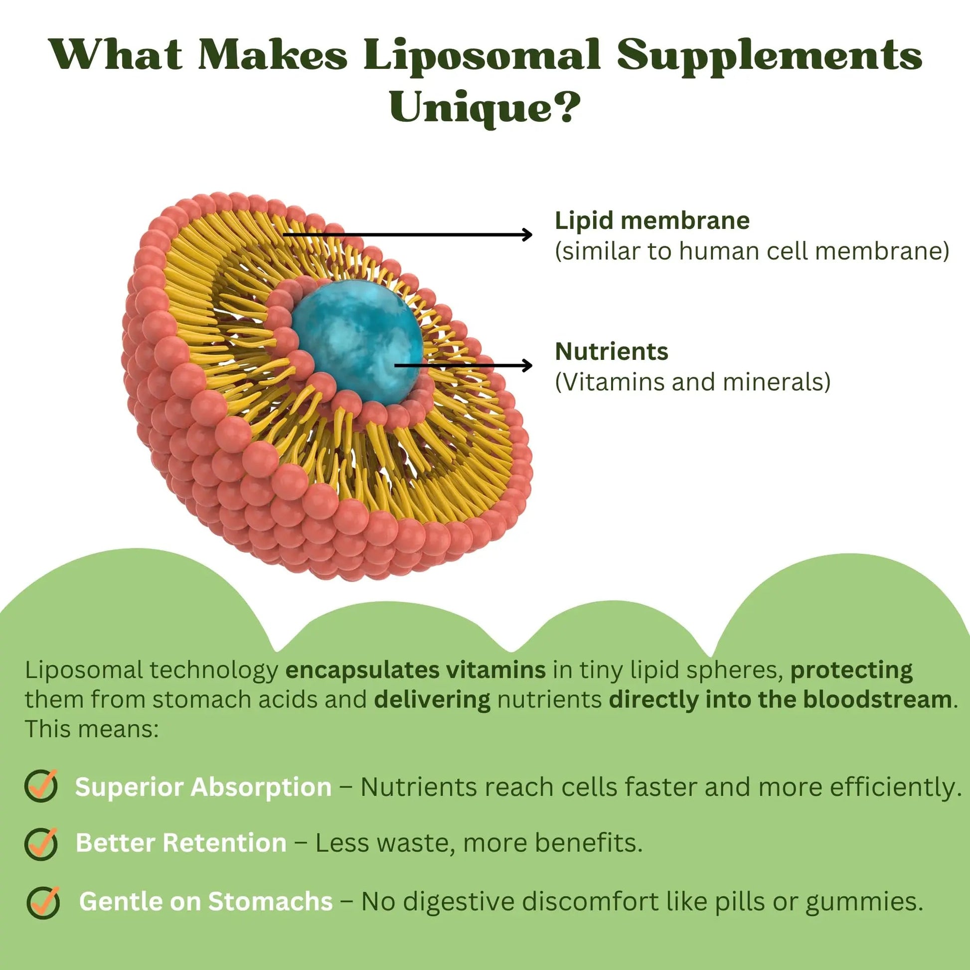 Vitaminally Liposomal Kids Liquid Multivitamin | Non-GMO | Clean | Sugar Free | Gluten Free | Organic Berry Flavors | Vitaminally uk supplements
