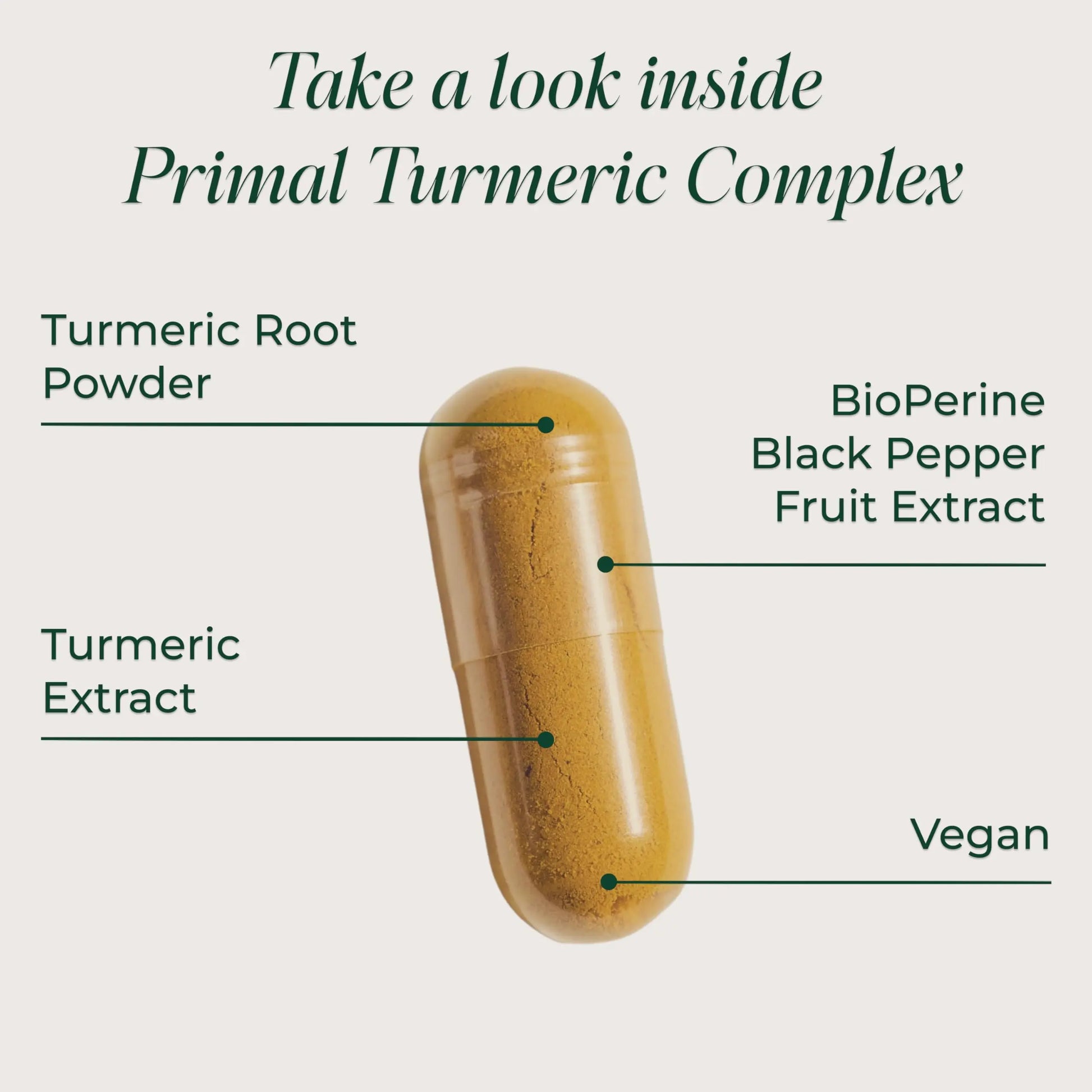 Primal Harvest 1 Pack, Primal Turmeric Complex w/Black Pepper Extract, Joint and Mobility Support Turmeric Supplement for Women & Men, 60 Capsules Primal Harvest uk supplements
