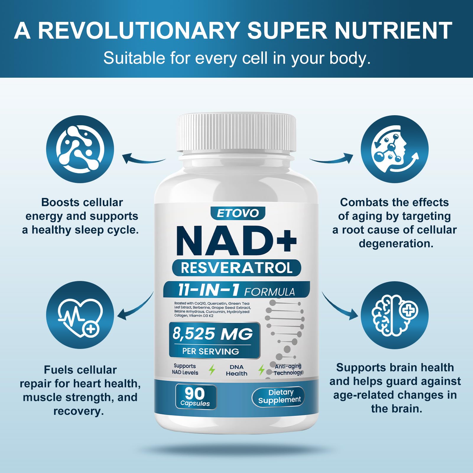 ETOVO NAD+ Supplement, 8525 mg Liposomal NAD Resveratrol Supplement for Women and Men with Coptisine Quercetin Curcumin Supports Cellular Health, Energy & Healthy Anti-Aging 180 Counts ETOVO uk supplements