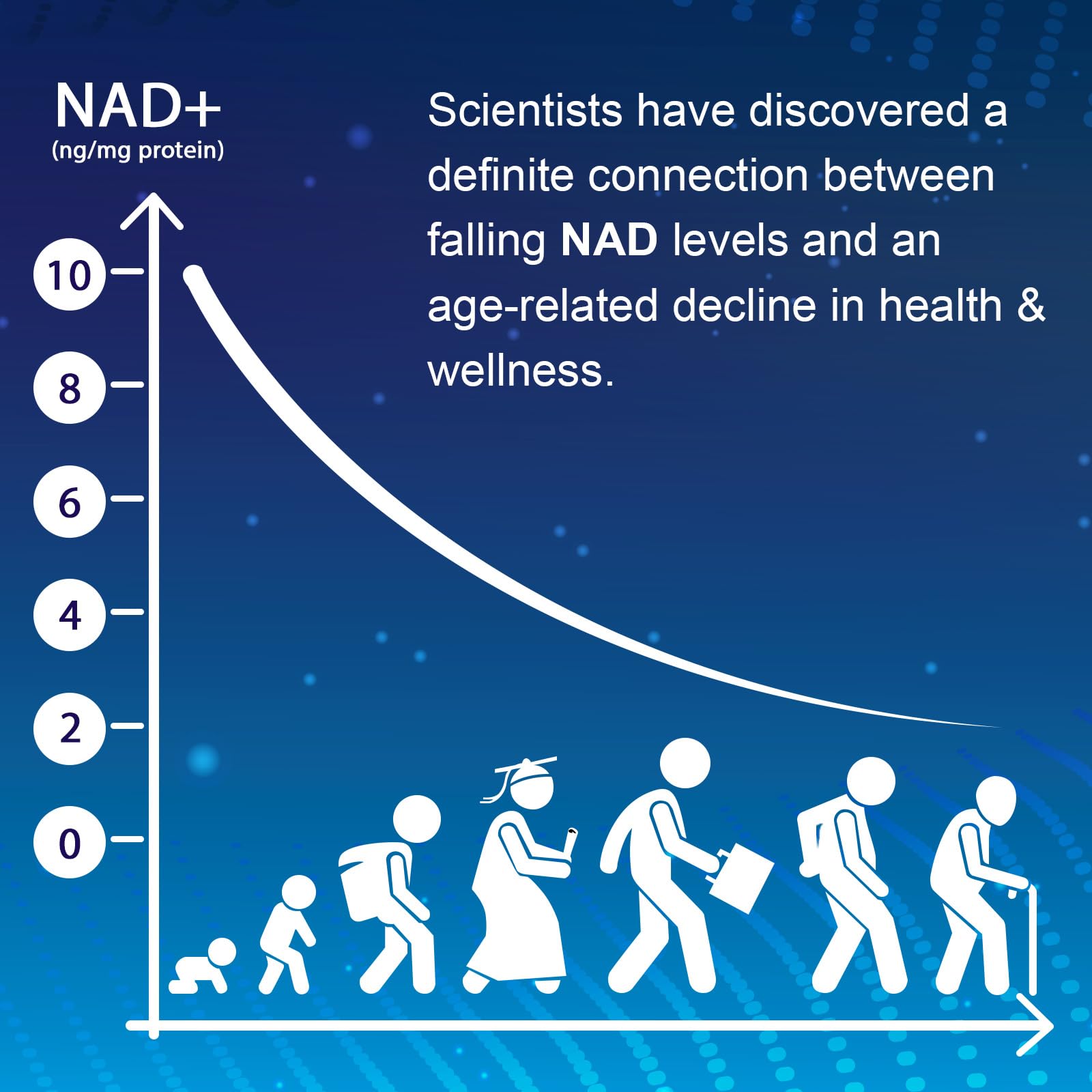 NMNH (Dihydronicotinamide Mononucleotide), NAD Supplement to Boost NAD+ Levels as We Age (May Be More Effective Than Nicotinamide Riboside), NMNH Supplement for Anti-Aging, 60 Capsules (60 Servings) Ucessuyy uk supplements
