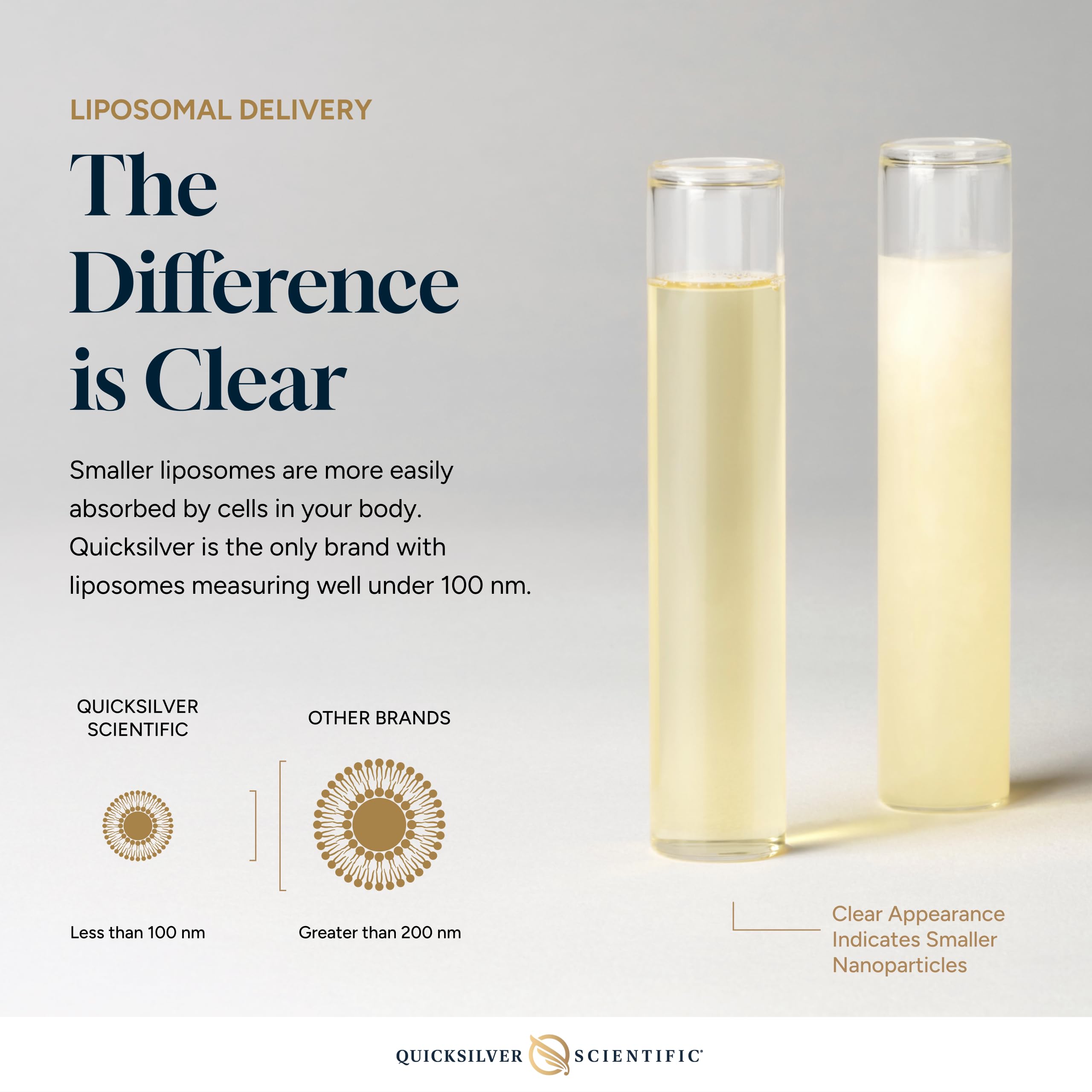 Quicksilver Scientific NanoFuel - Energy Support - Nootropic Formula Designed to Support Focus + Productivity (3.38oz / 100ml) Quicksilver Scientific uk supplements