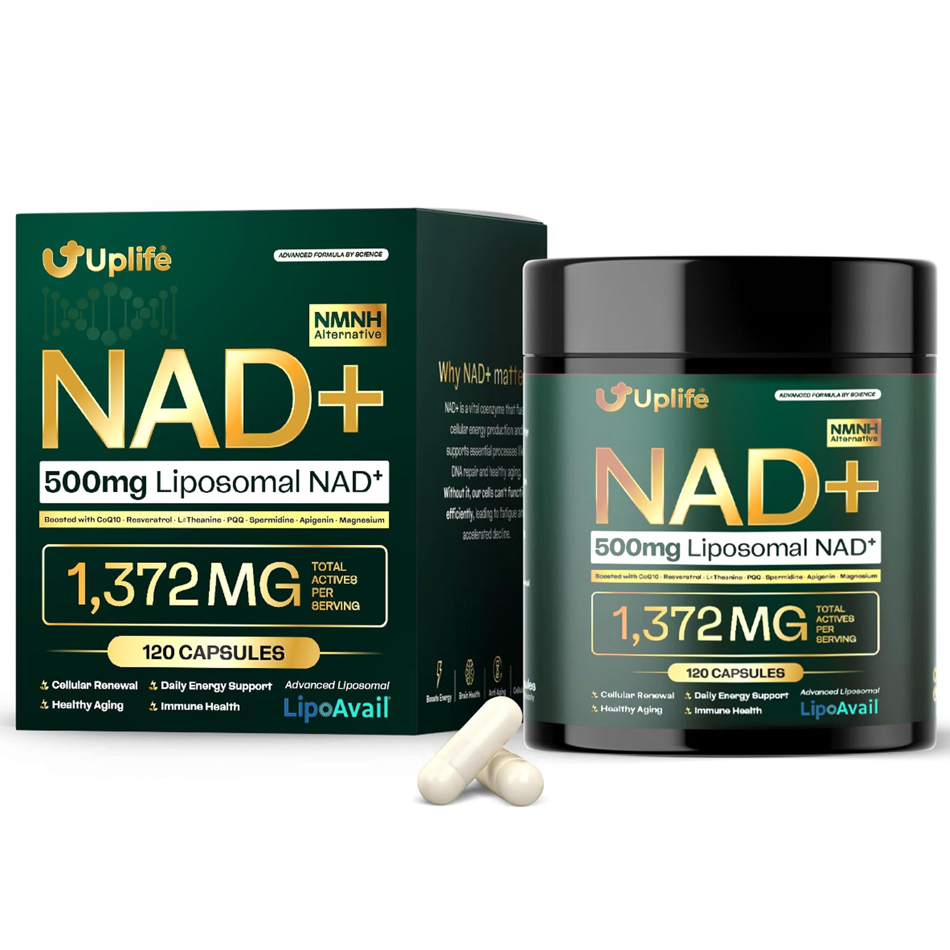 UPLIFE NAD+ Supplement 1,372mg – Liposomal NAD+ with CoQ10, Resveratrol, Spermidine, L-Theanine, Apigenin & PQQ – NMNH Alternative Booster Cellular Energy, Healthy Aging, Immune Health – 120 Capsules UPLIFE uk supplements