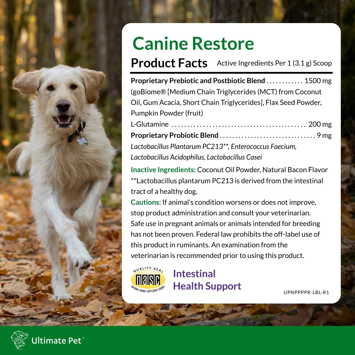 Ultimate Pet Nutrition Canine Restore, Gut Health Supplement with Prebiotics, Probiotics, & Postbiotics for Digestive Health & Immunity Support, Vet Formulated Powder Food Topper ULTIMATE PET NUTRITION uk supplements