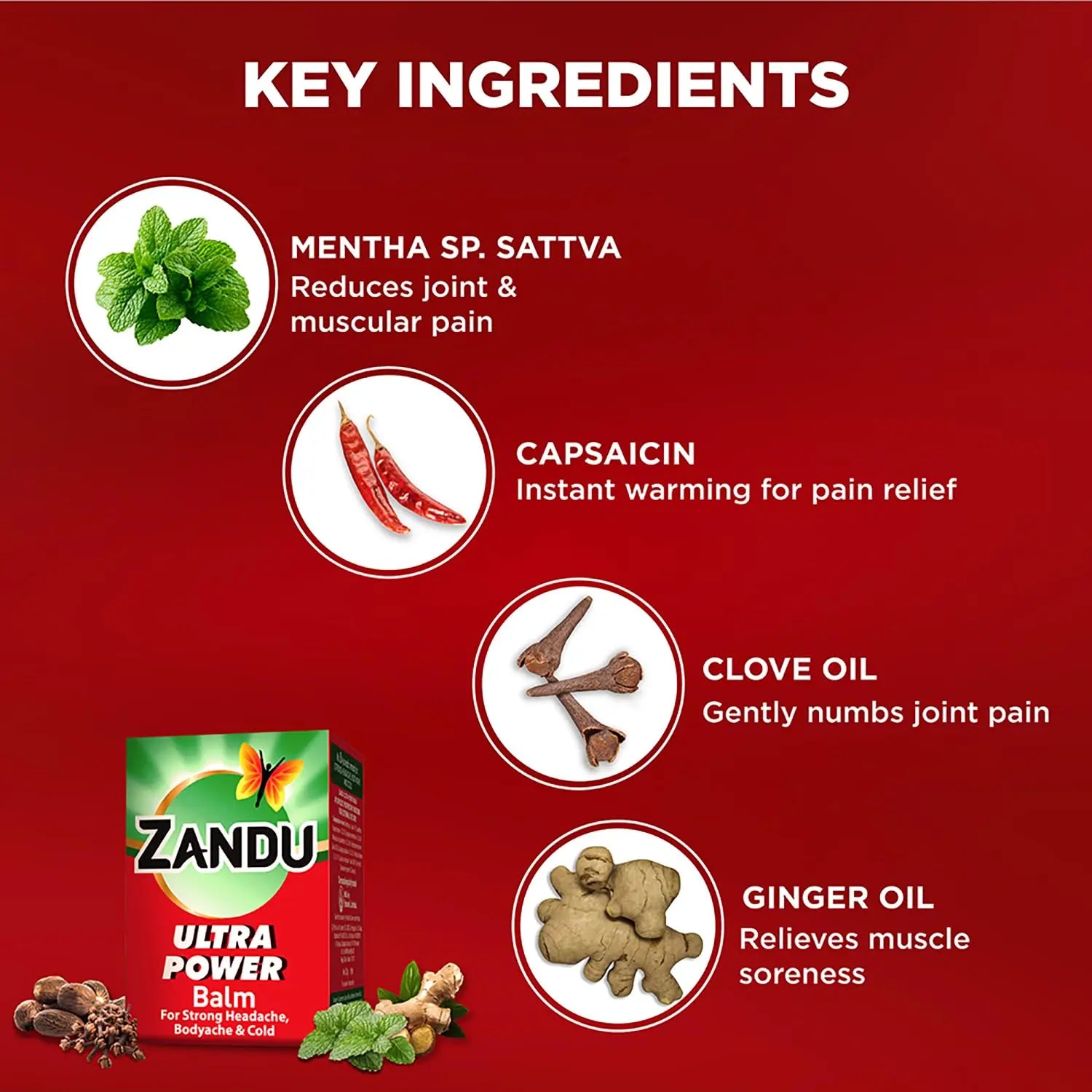Zandu Ultra Red Balm | Ayurvedic Balm with Menthol, Camphor, Eucalyptus Oil | Relieves from Bodyache, Cold & Muscle Stiffness | Non Greasy & Fast Acting | 0.85 Fl Oz (Pack of 1) Zandu uk supplements