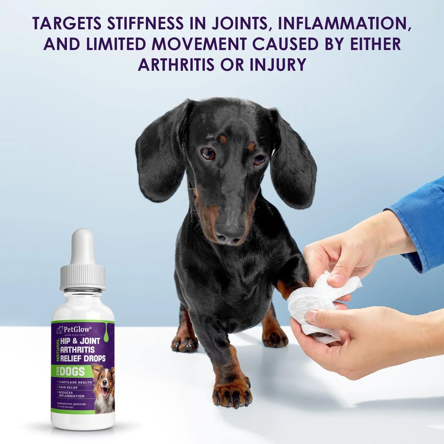 Petglow® Natural Hip & Joint Arthritis Relief Drops with Curcumin & Boswellia, Homeopathic Anti-Inflammatory Formula for Dogs, Cats & Horses, Supports Flexibility, Comfort & Mobility Naturally Petglow uk supplements