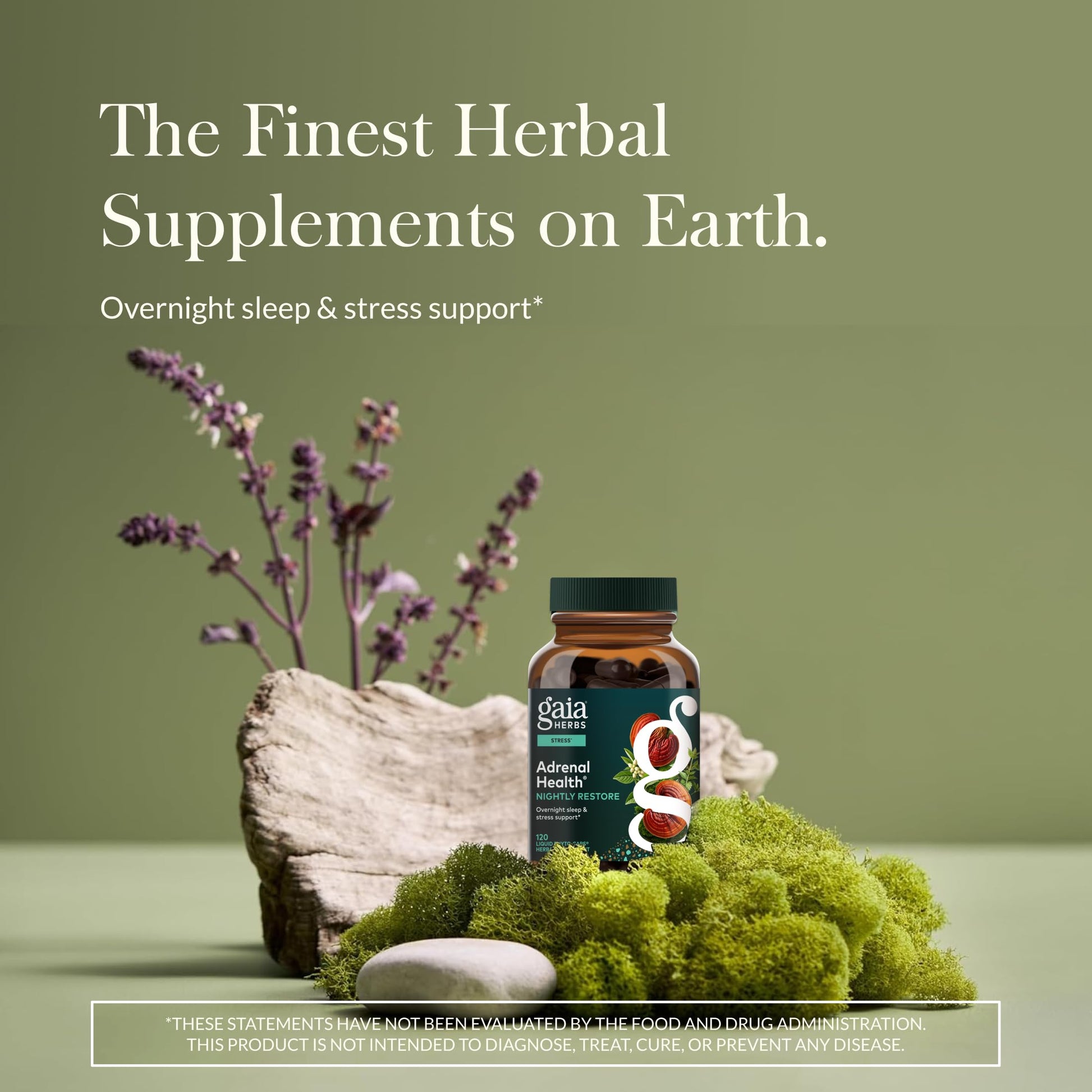 Gaia Herbs Adrenal Health Nightly Restore - Herbal Supplement with Ashwagandha, Magnolia Bark, Cordyceps, Lemon Balm & More* - 60 Vegan Liquid Phyto-Caps (30 Servings) Gaia Herbs uk supplements