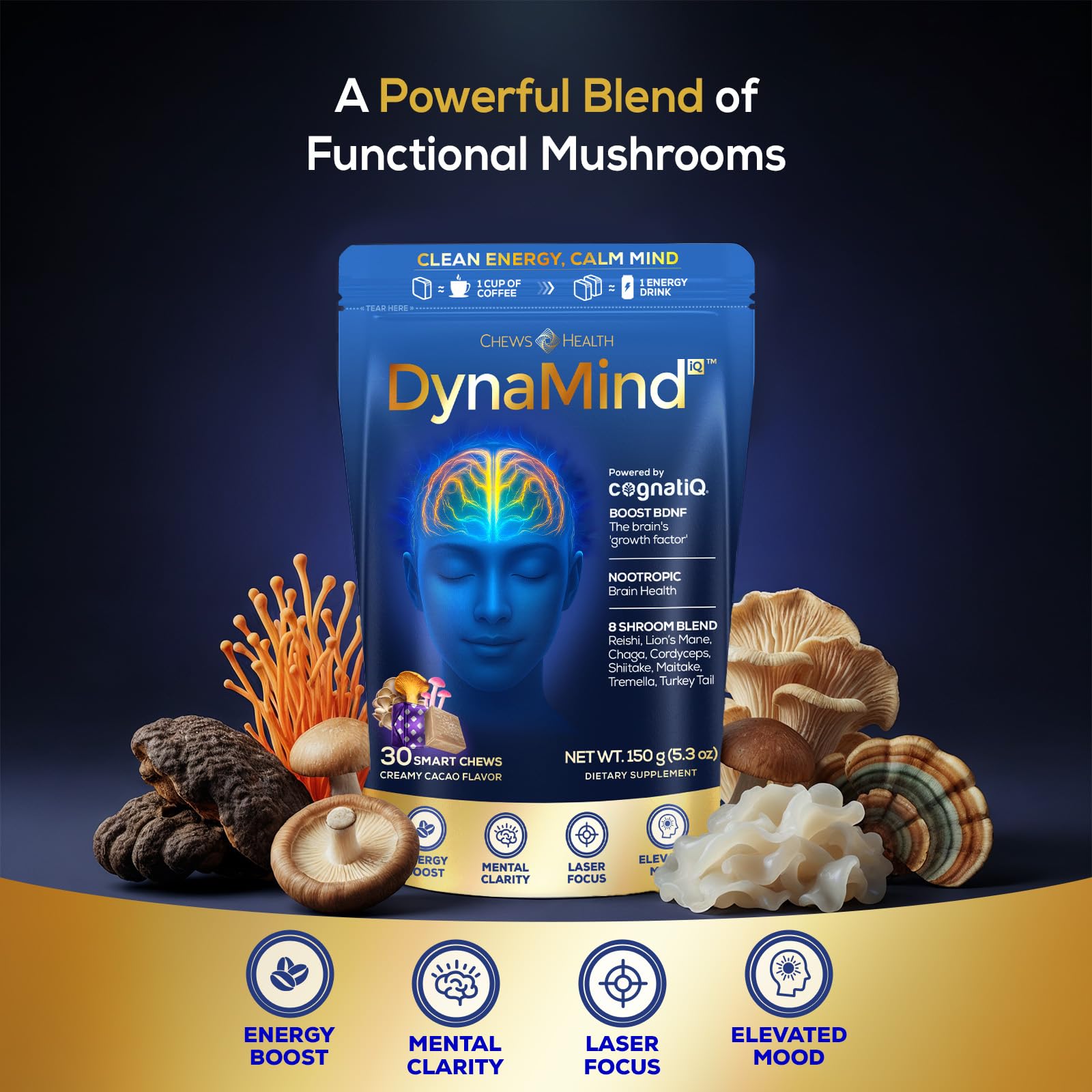 DynaMind iQ Brain Supplement for Memory and Focus for Adults - Nootropic Chews | Coffee Fruit & Mushroom Supplement Blend, Memory Focus Supplement, Caffeine Focus Pills Alternative, 30 Count CHEWSHEALTH uk supplements
