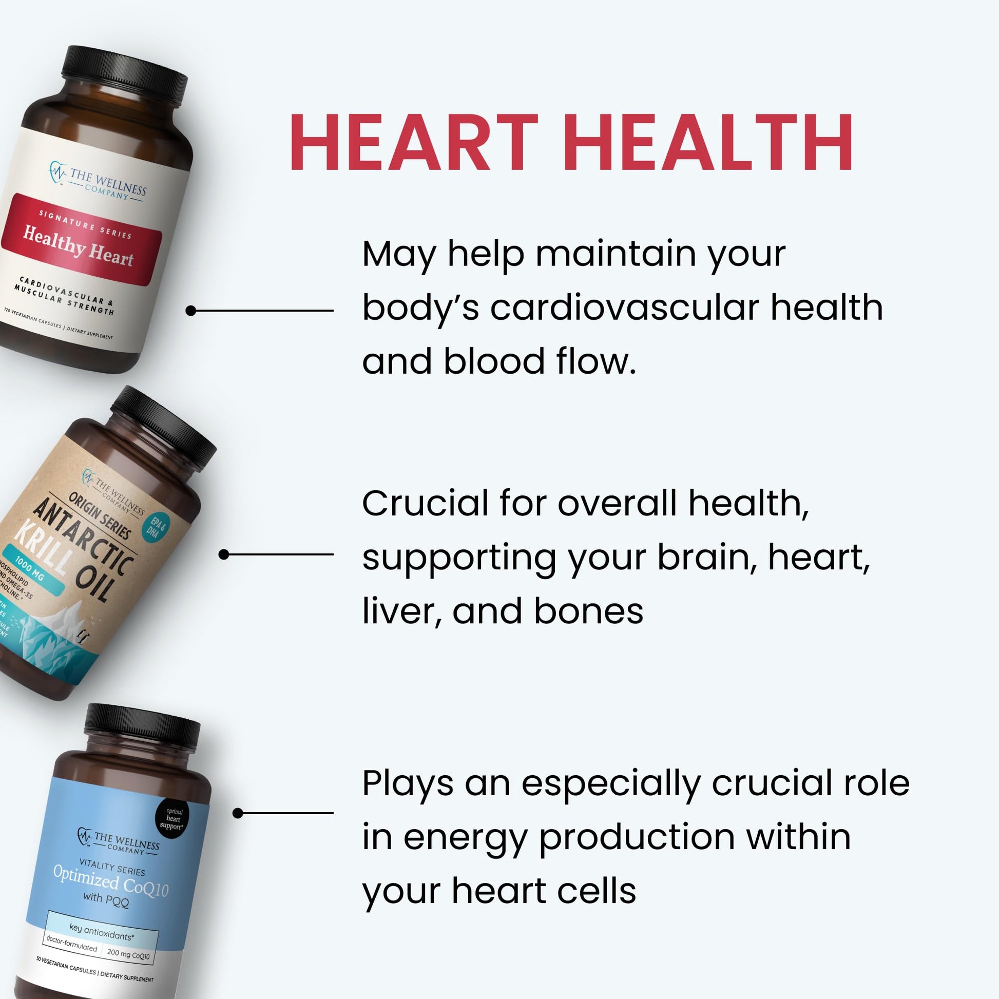The Wellness Company Healthy Heart - Cardiovascular Strength, Blood Flow, Nitric Oxide Production & Healthy Cholesterol Levels | 120ct (2 Month Supply) The Wellness Company uk supplements