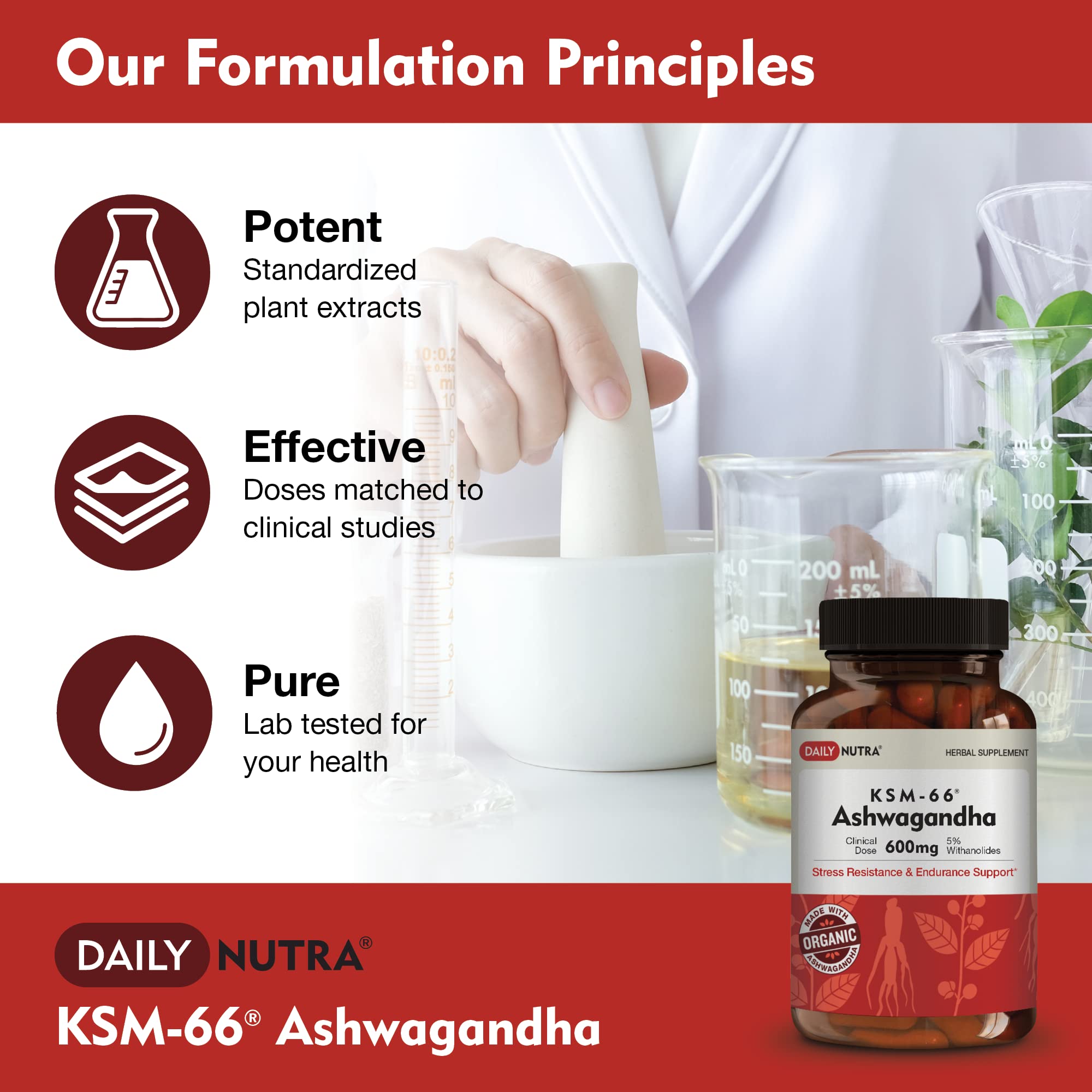 DailyNutra KSM-66 Ashwagandha 600mg Organic Root Extract - High Potency Supplement DailyNutra uk supplements