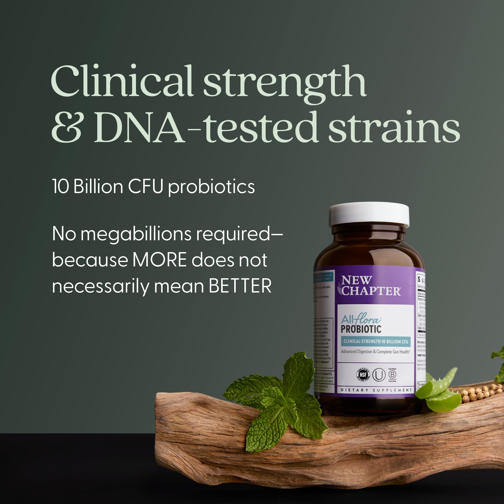 New Chapter All-Flora Probiotic for Advanced Digestion & Complete Gut Health with Prebiotics + Postbiotics, Clinical-Strength Strains, 100% Vegetarian, Non-GMO, Shelf Stable - 60 ct (2 Month Supply) New Chapter uk supplements