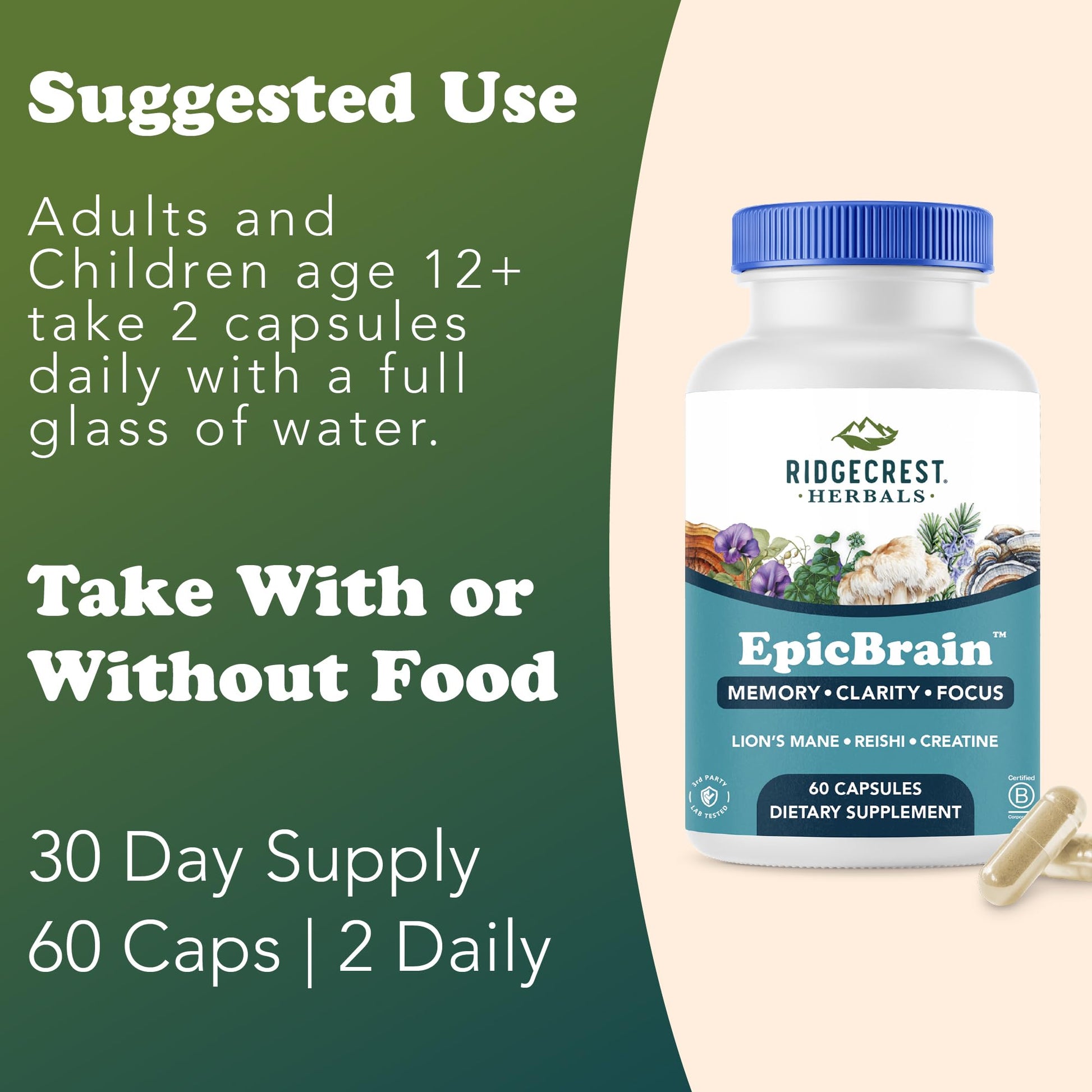 RidgeCrest Herbals EpicBrain, Natural Brain Support Supplement with Creatine Monohydrate, Lion's Mane, Reishi, Supports Mental Clarity, Memory, Focus, Stimulant-Free Nootropic (60 Count, 30 Servings) RidgeCrest Herbals uk supplements