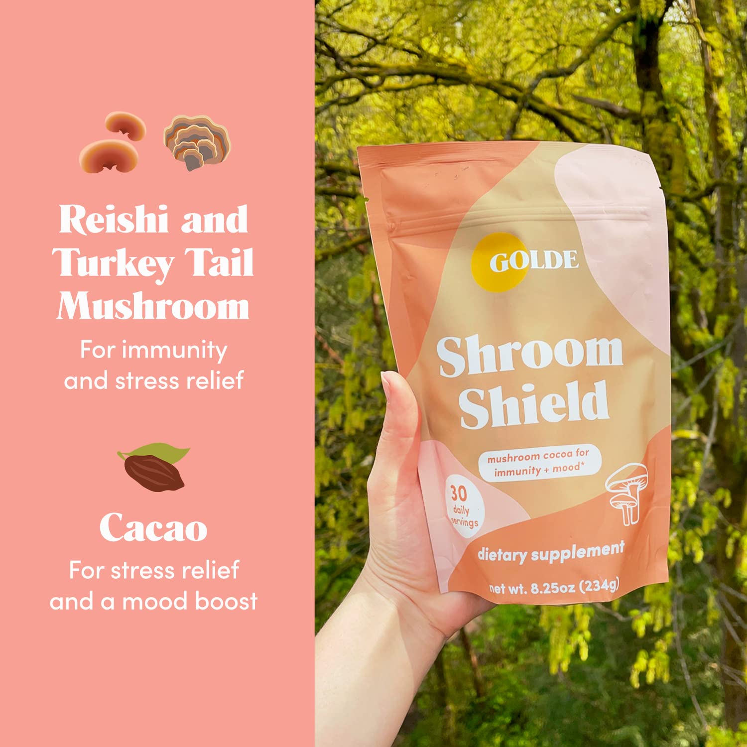 GOLDE Shroom Shield - Plant Based Superfood Blend w/Turkey Tail Mushroom & Reishi Mushroom Extract - Stress Defense - Antioxidants & Prebiotics - Vegan, Keto, & Sugar-Free Hot Cocoa - 30 Servings GOLDE uk supplements