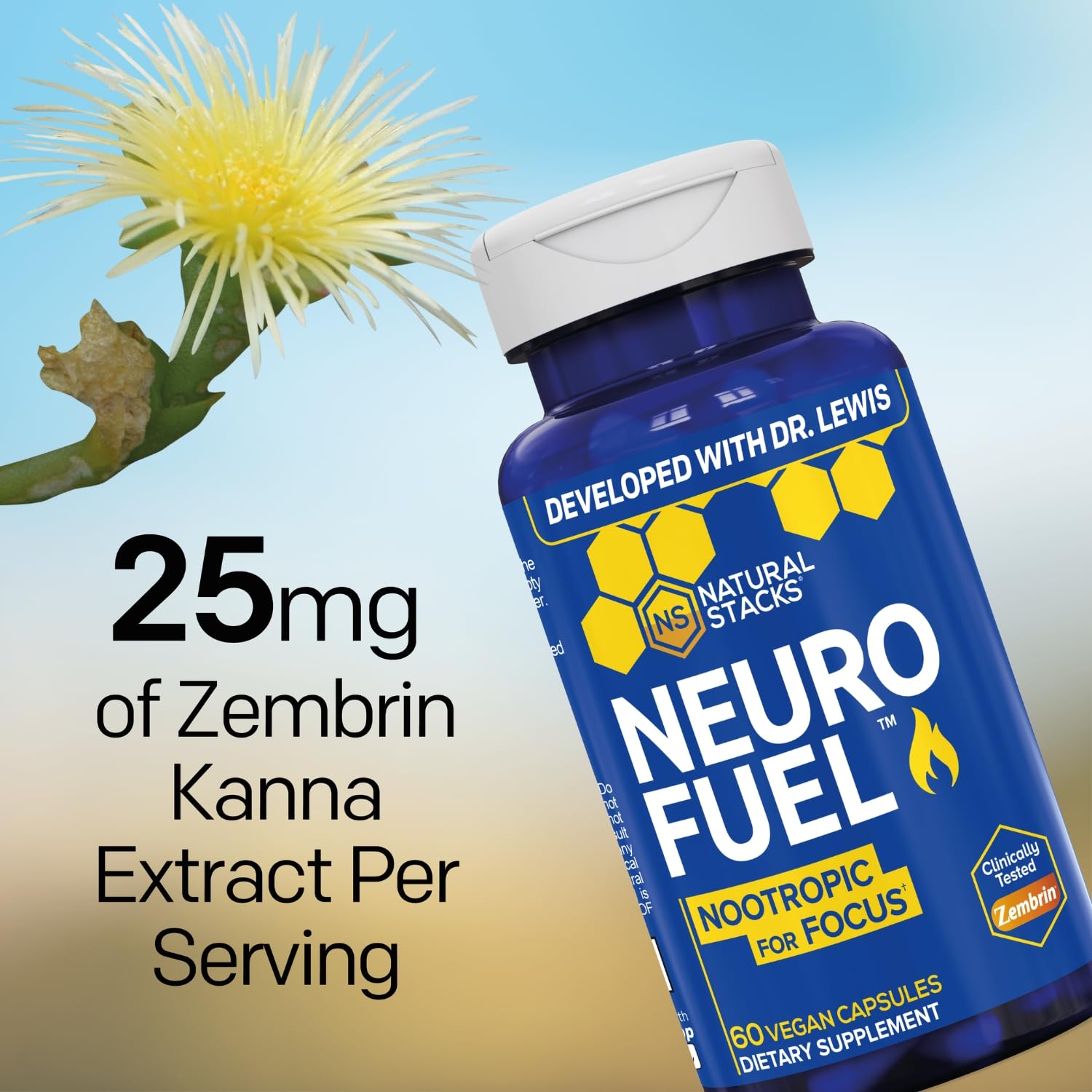 NATURAL STACKS NeuroFuel Nootropic with Zembrin - Doctor Developed Memory & Focus Supplement - Kanna Extract Sceletium Tortuosum - Nootropic Brain Supplement for Focus - 60 Zembrin Capsules NATURAL STACKS uk supplements