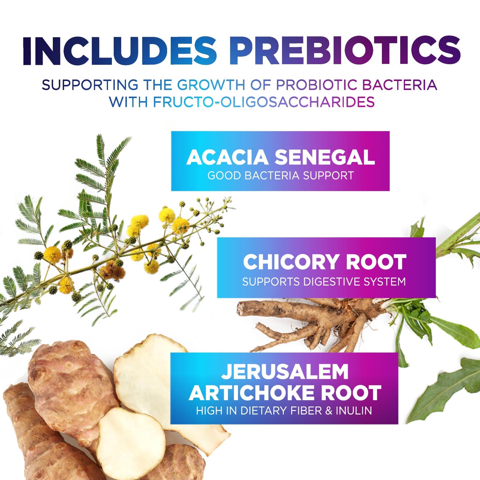 Probiotics 60 Billion CFU - 10 Strains + Digestive Enzymes & Prebiotics - Best Probiotic for Women & Men, Supports Immune, Gut Health, Occasional Constipation, Diarrhea, Gas & Bloating - 60 Capsules Nature's Peak uk supplements