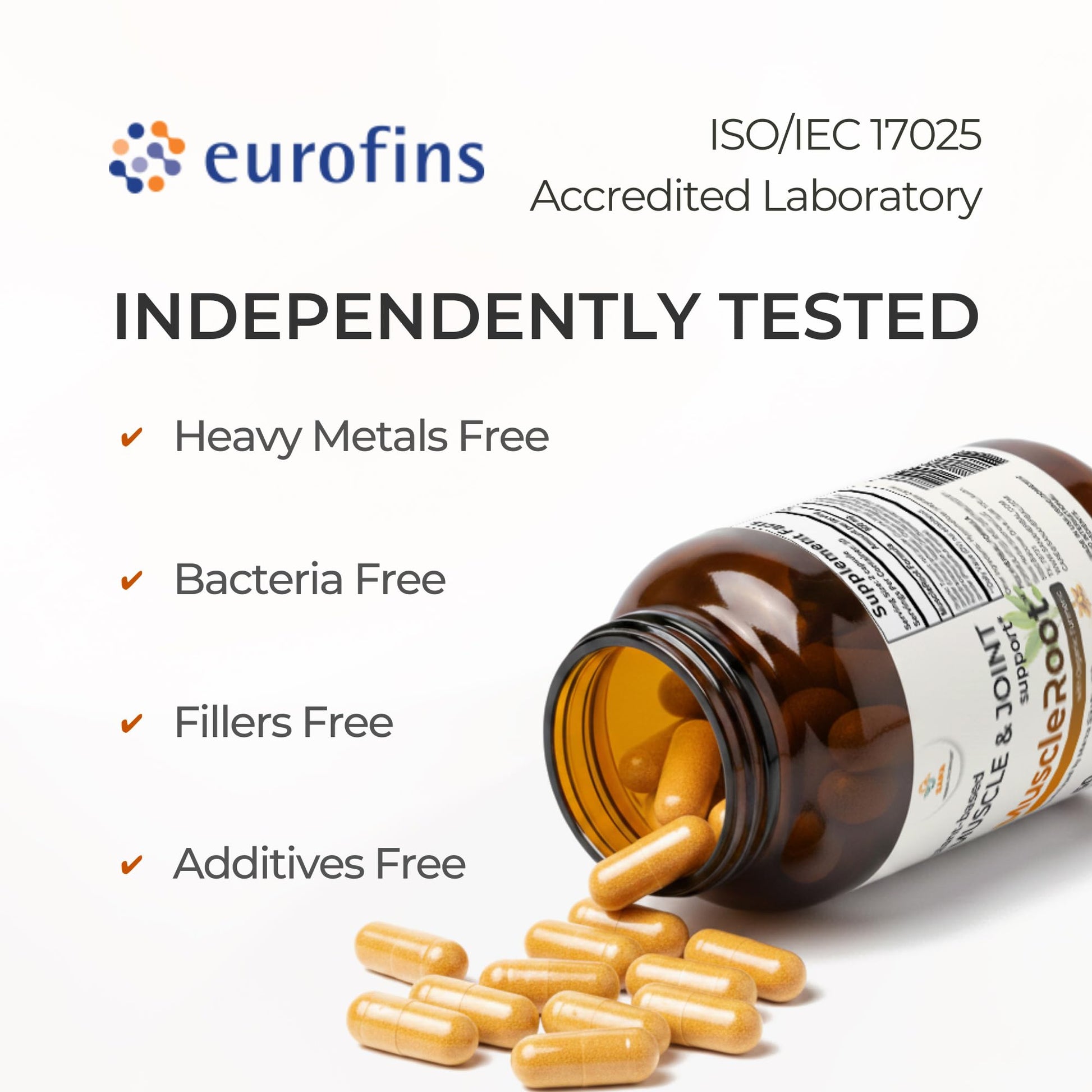 Muscle & Joint Support Supplement – Botanical Formula for Healthy Inflammatory Response | 6 Research-Backed Botanicals | Organic Turmeric | 60 Capsules | Sana Herbal Sana Herbal Sciences uk supplements