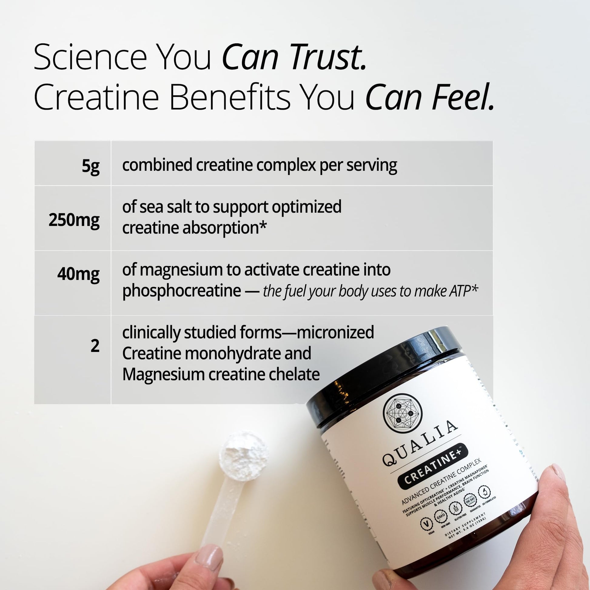 Qualia Creatine | Advanced Creatine Complex | 2 Sources + Magnesium | Optimized Absorption | Muscle Performance, Brain Function, & Healthy Aging (30 Servings) QUALIA LIFE SCIENCES uk supplements