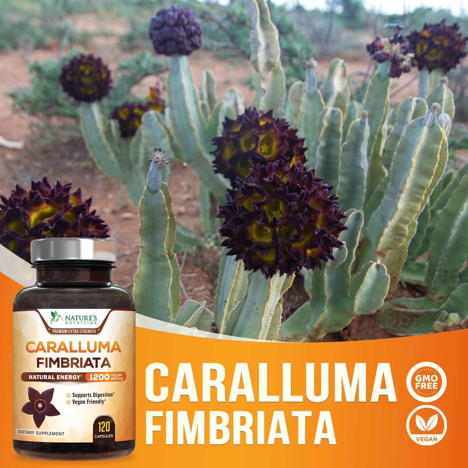 Pure Caralluma Fimbriata Extract Highly Concentrated 1200mg - Natural Endurance Support Nature's Nutrition uk supplements