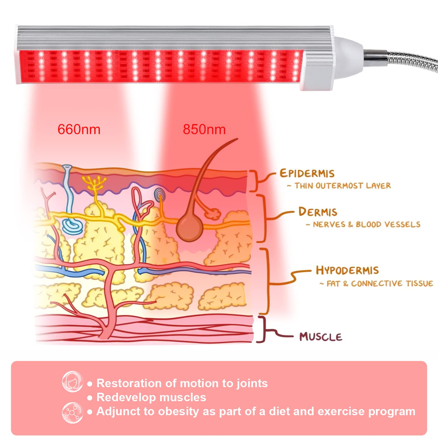 MAINENG Infrared & Red Light Therapy Lamp with Timer, 660nm & 850nm LED - M7685 MAINENG uk supplements