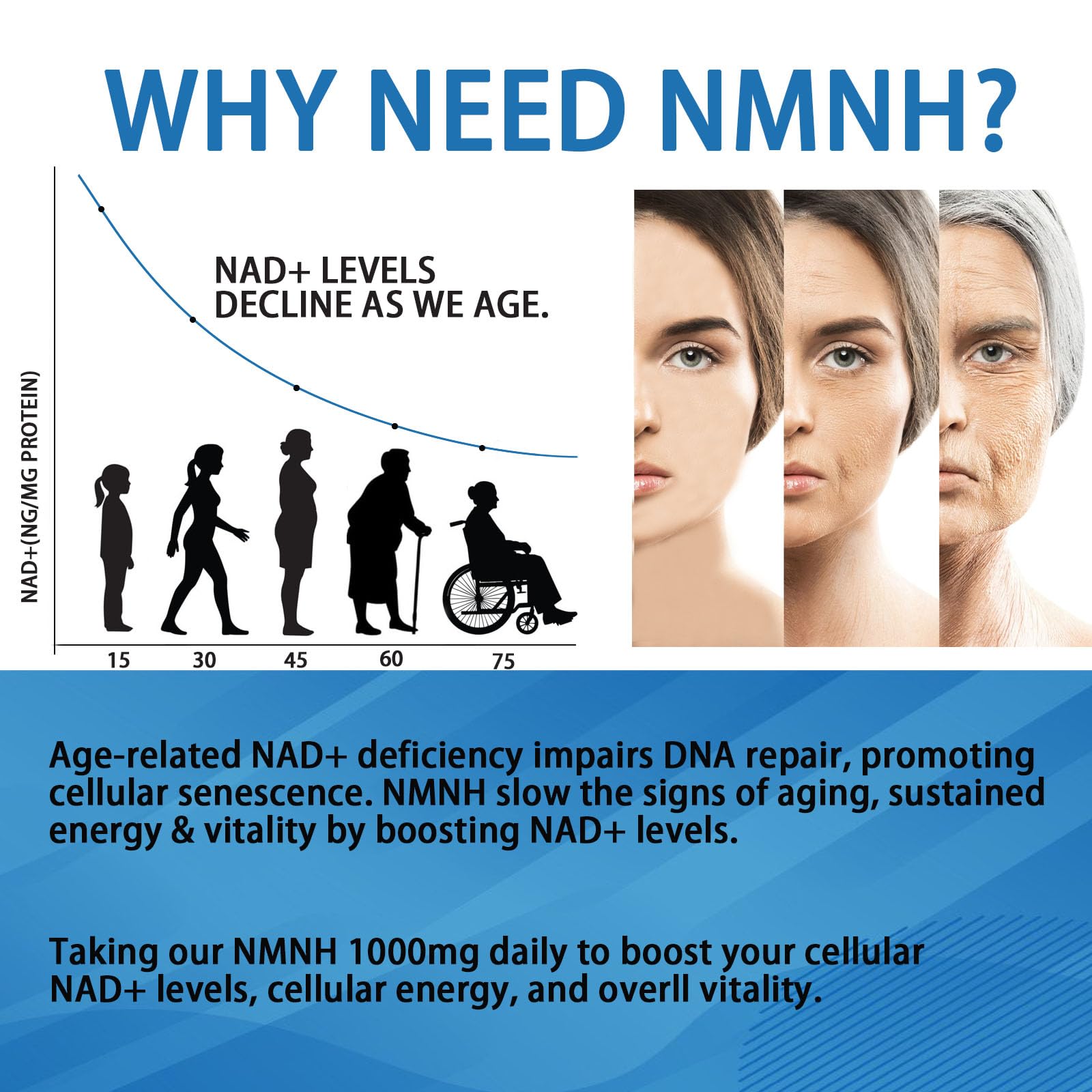 YZQ WAIDE NMNH (Dihydronicotinamide Mononucleotide), 1000mg NMNH Supplement to Boost NAD+ Levels Resveratrol Supplement with Quercetin for Energy, Aging, Non-GMO, Gluten Free, 120 Capsules YZQ WAIDE uk supplements