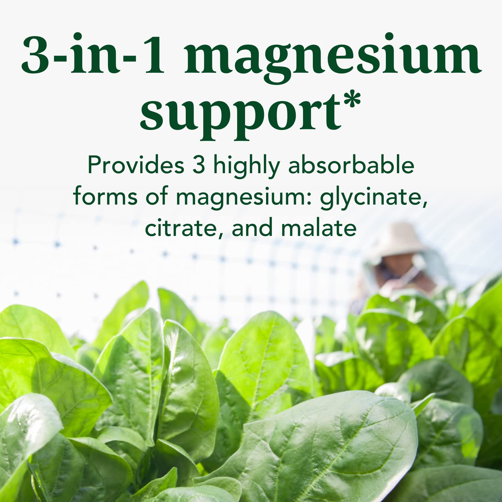 INNATE Response Formulas Magnesium 300 mg - Mineral Supplement for Muscle Relaxation - Vegetarian and Gluten-Free - 120 Capsules (60 Servings) INNATE Response Formulas uk supplements