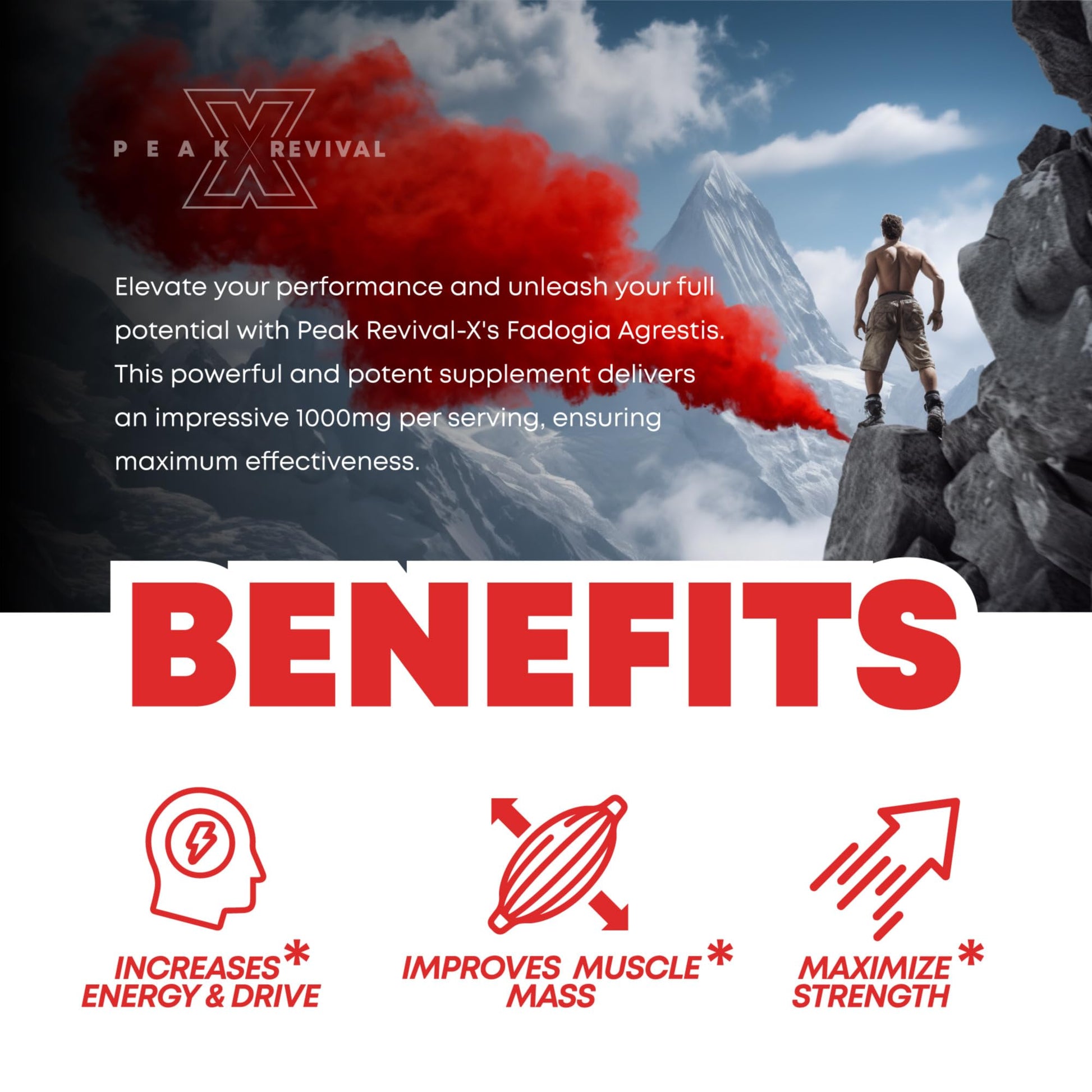 Peak Revival-X Fadogia Agrestis 1000mg Per Serving Supplement - Potent Extract to Increase Energy, Athletic Performance & Muscle Mass - Supplements, Made in The USA (60 Capsules) Peak Revival-X uk supplements