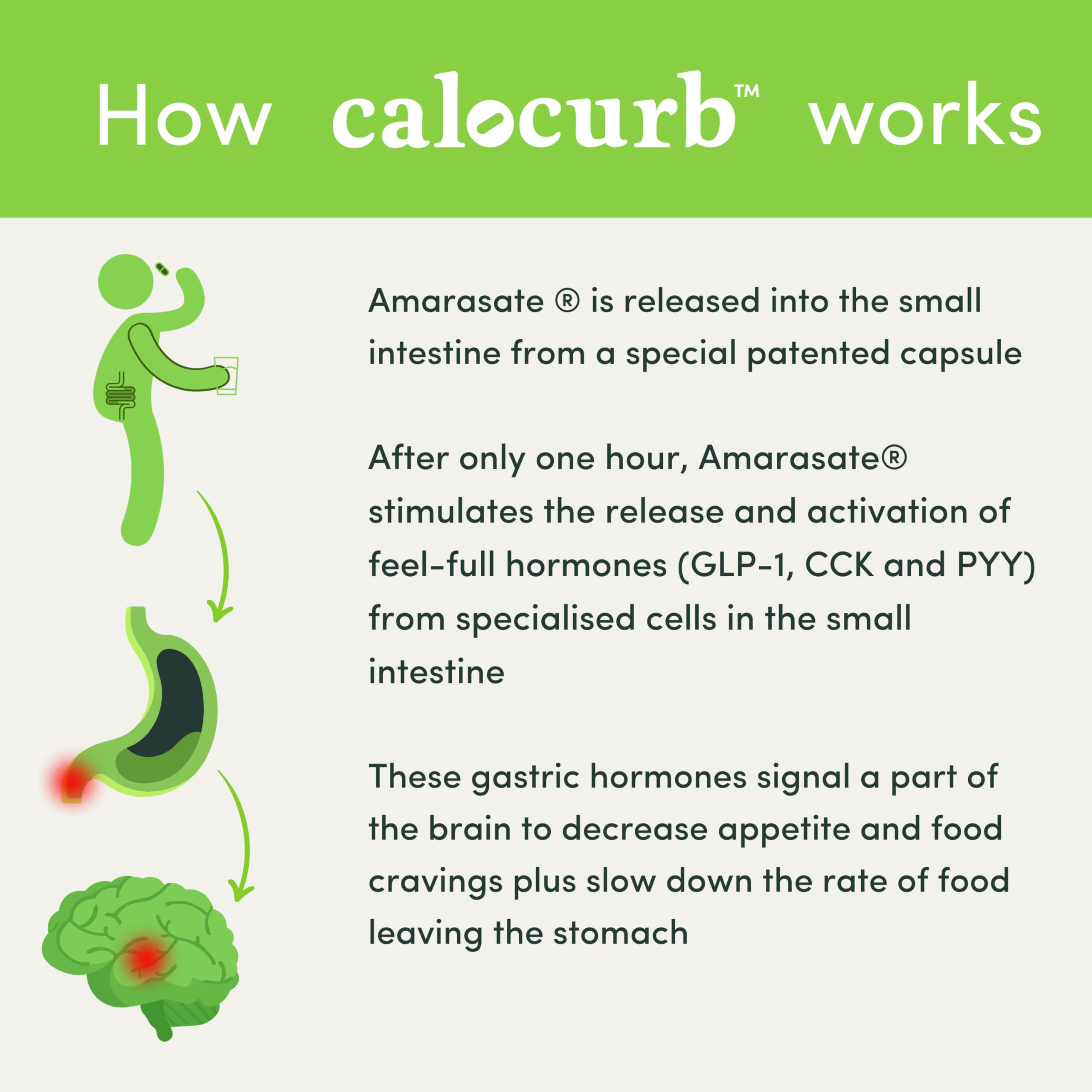 Calocurb Calorie Control Supplement, Natural GLP-1 Activator, 90 Count (1 Month Average Calocurb uk supplements