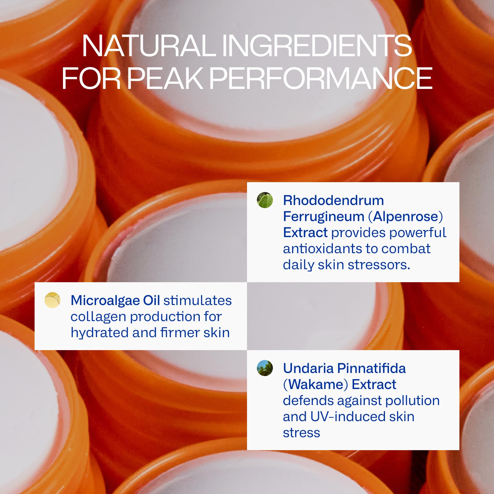 Peak Performance Sun Stick SPF 50 | 100% Mineral Sunscreen | Lightweight, 40-Min Water-Resistant | Plant-Based, Eco-Friendly, Reef-Safe, Cruelty-Free | All Skin Types | 0.70 oz | Pack of 2 Freaks of Nature uk supplements