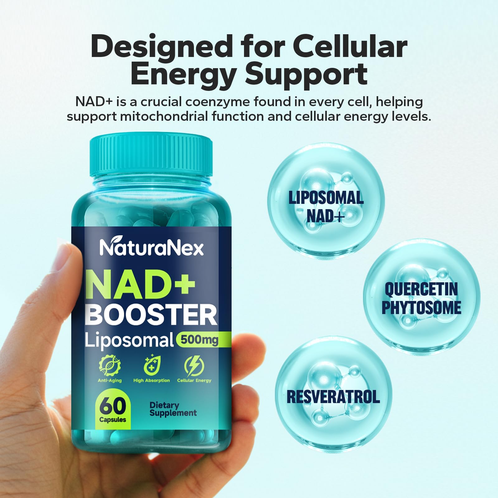 NaturaNex NAD+ Supplement 650mg (60 Capsules), Liposomal NAD+ with Resveratrol & Quercetin, Third-Party Tested, NMN Supplement Alternative NaturaNex uk supplements